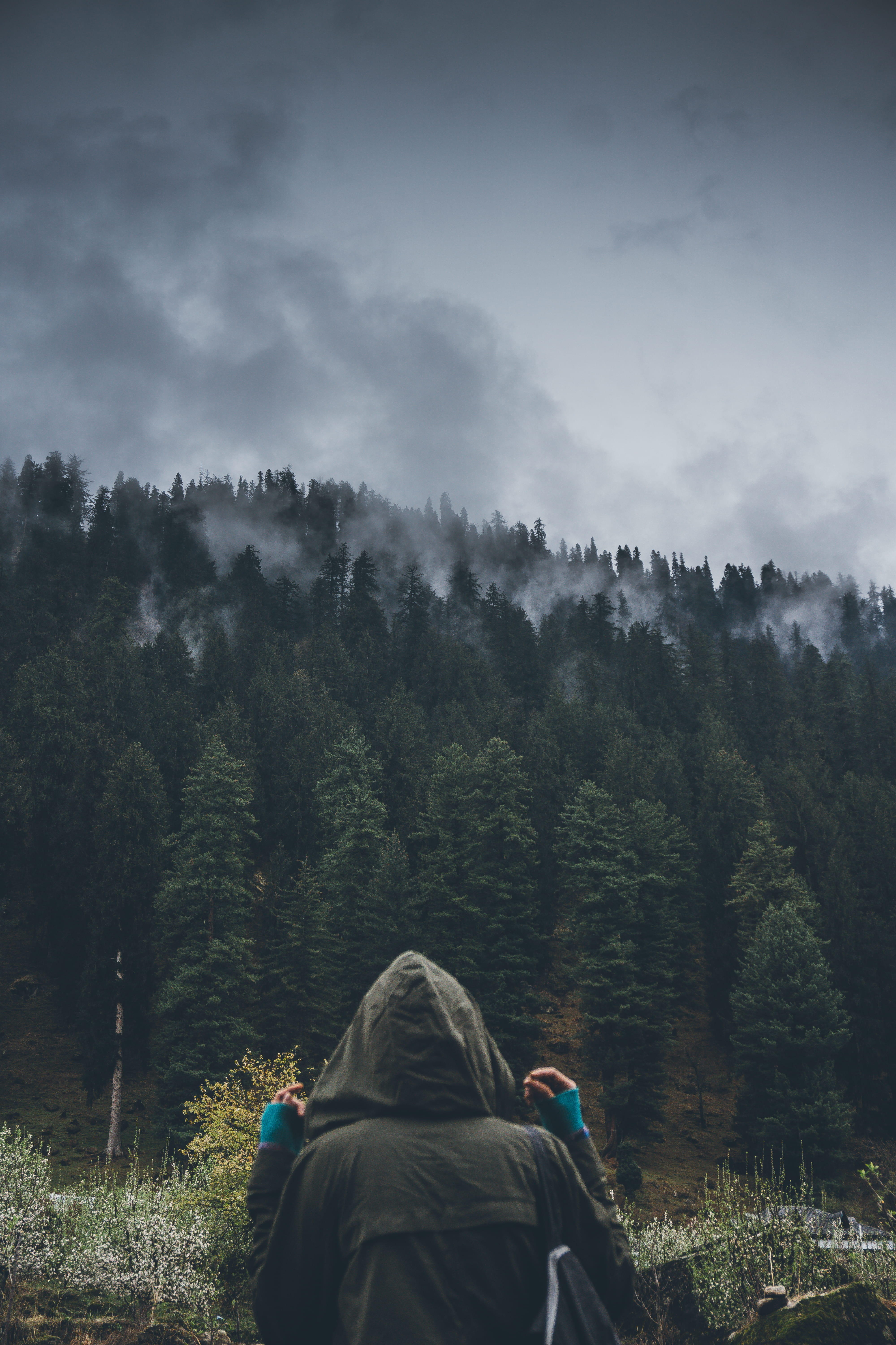 land, sky, plant, scenics - nature, grey, fog, mountain, tree, backwards, outdoors, warm clothing, 5K, hood, jacket, cloud, person, cloud - sky, beauty in nature, Phone HD Wallpaper