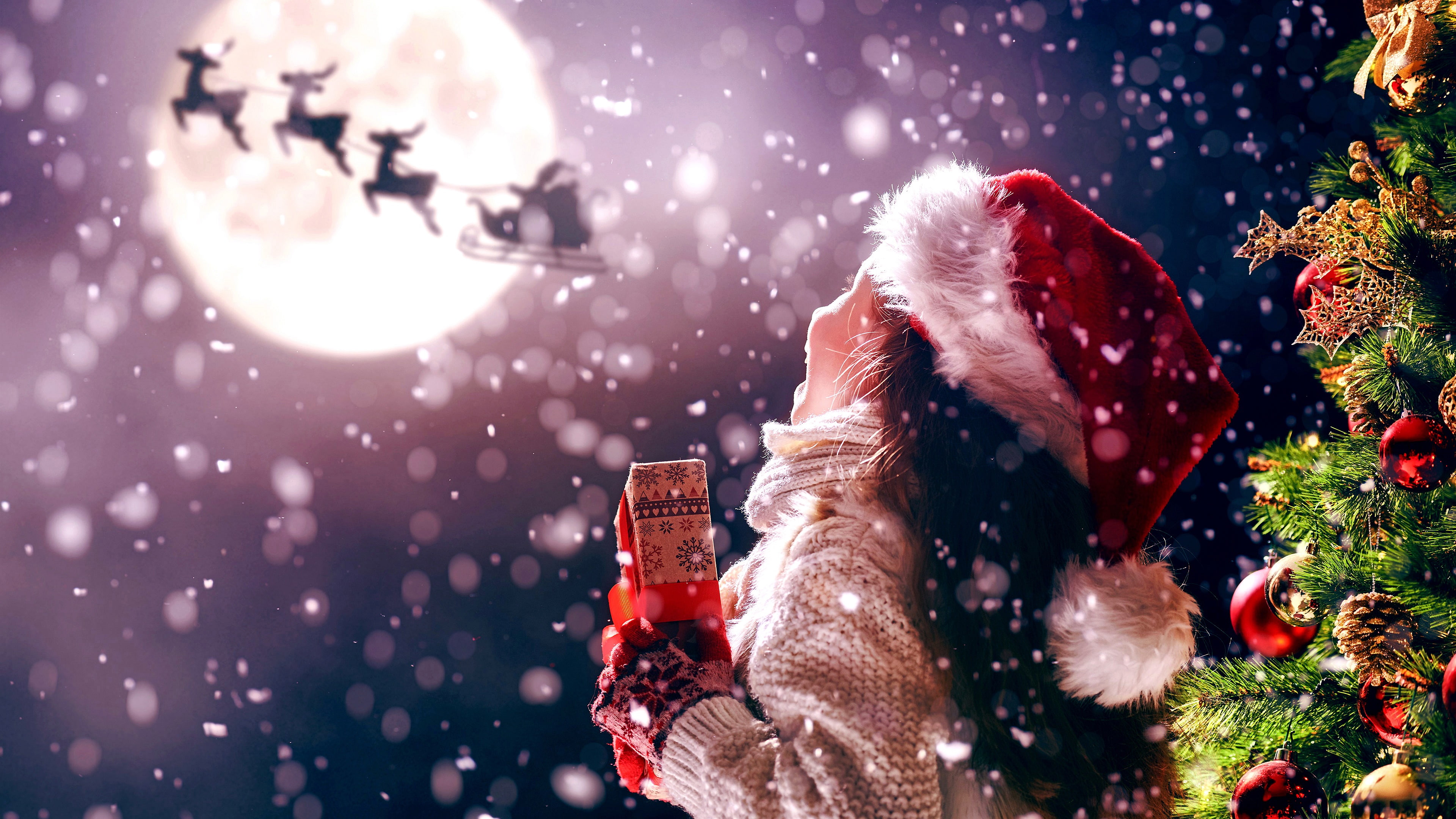 4K, xmas, little girl, christmas night, santa claus, holiday, sled, christmas, sledge, full moon, moonlight, moon, HD Wallpaper