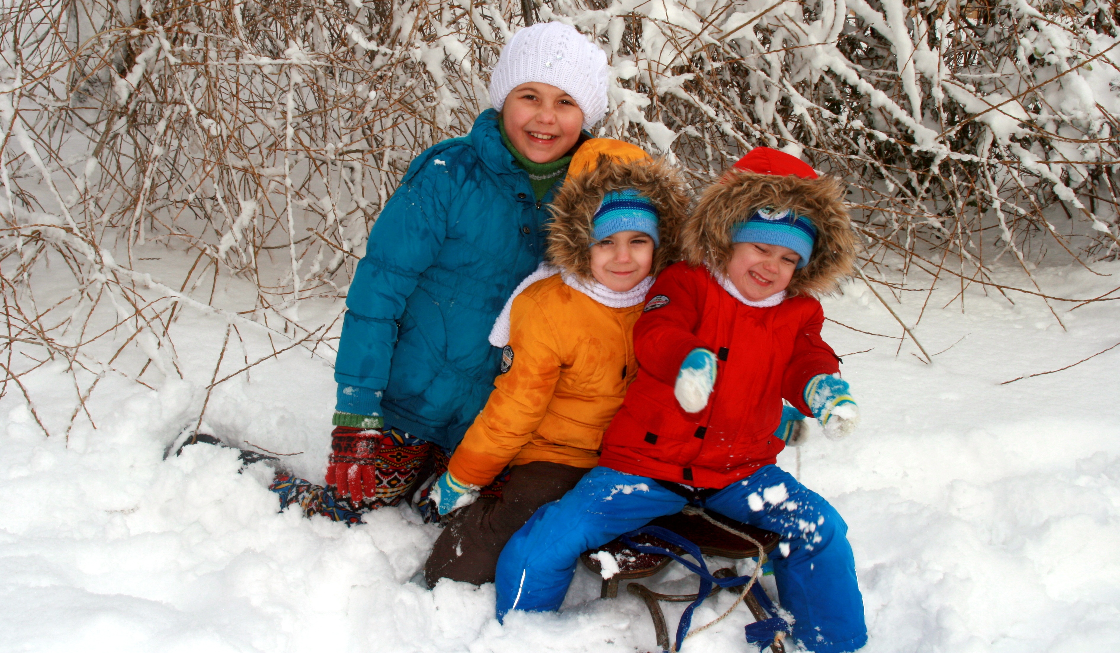 warm clothing, sister, brothers, play, women, sledge, snow, family, positive emotion, looking at camera, boys, cold temperature, clothing, child, happiness, HD Wallpaper