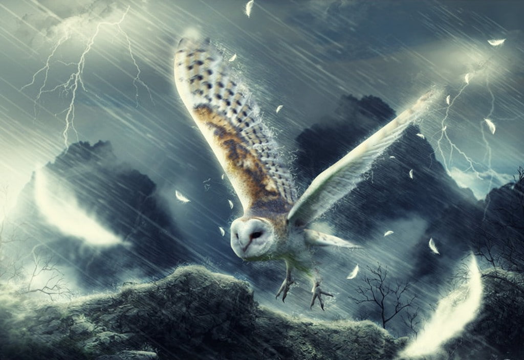 mountains, barn owl, birds, Flash, owl, hd, lightning, barn, 480P, animals, art, rain, HD Wallpaper