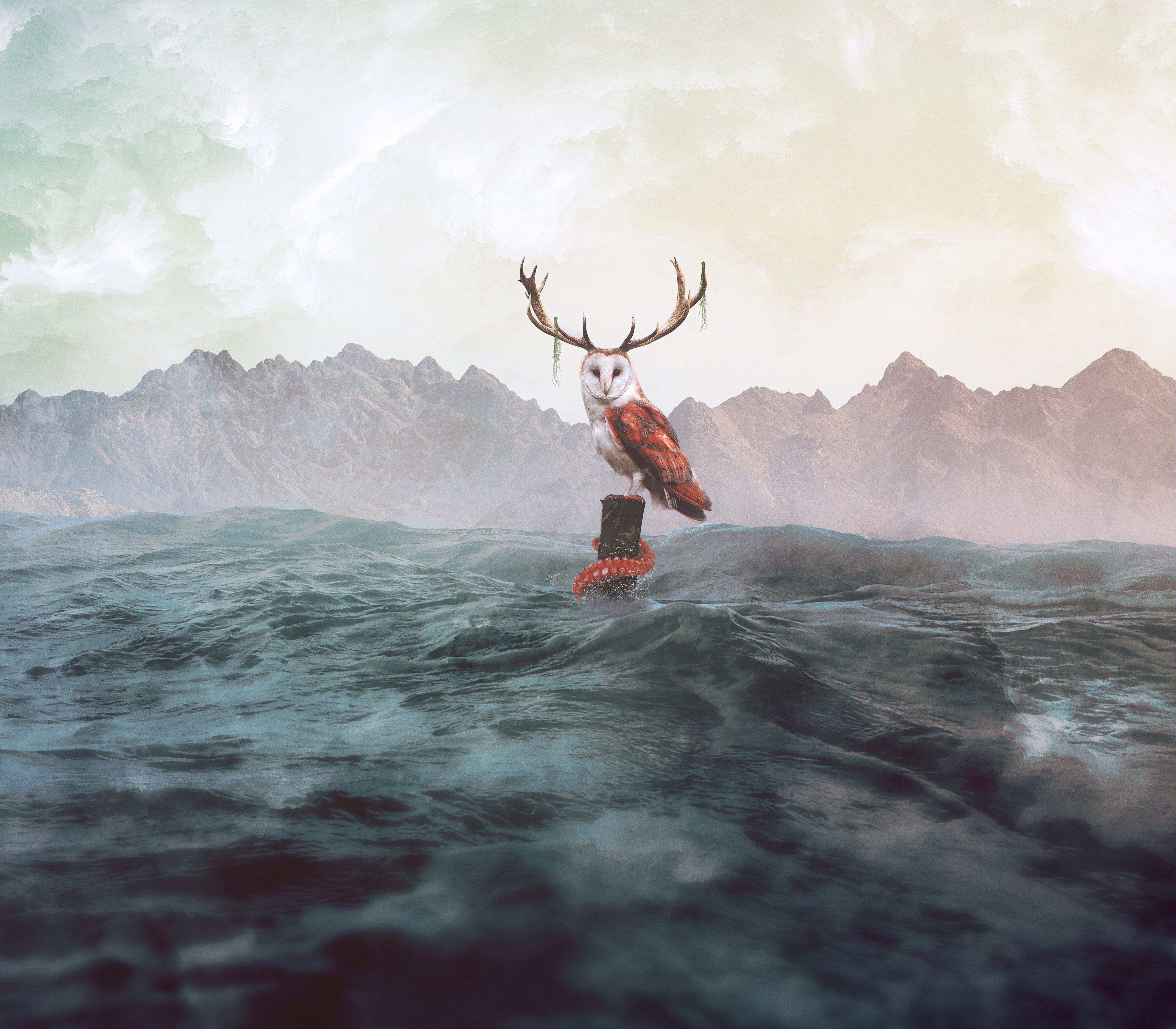 4K, Sea, HD, Barn owl, 4K, Mountains, Tyto alba, CGI, HD Wallpaper