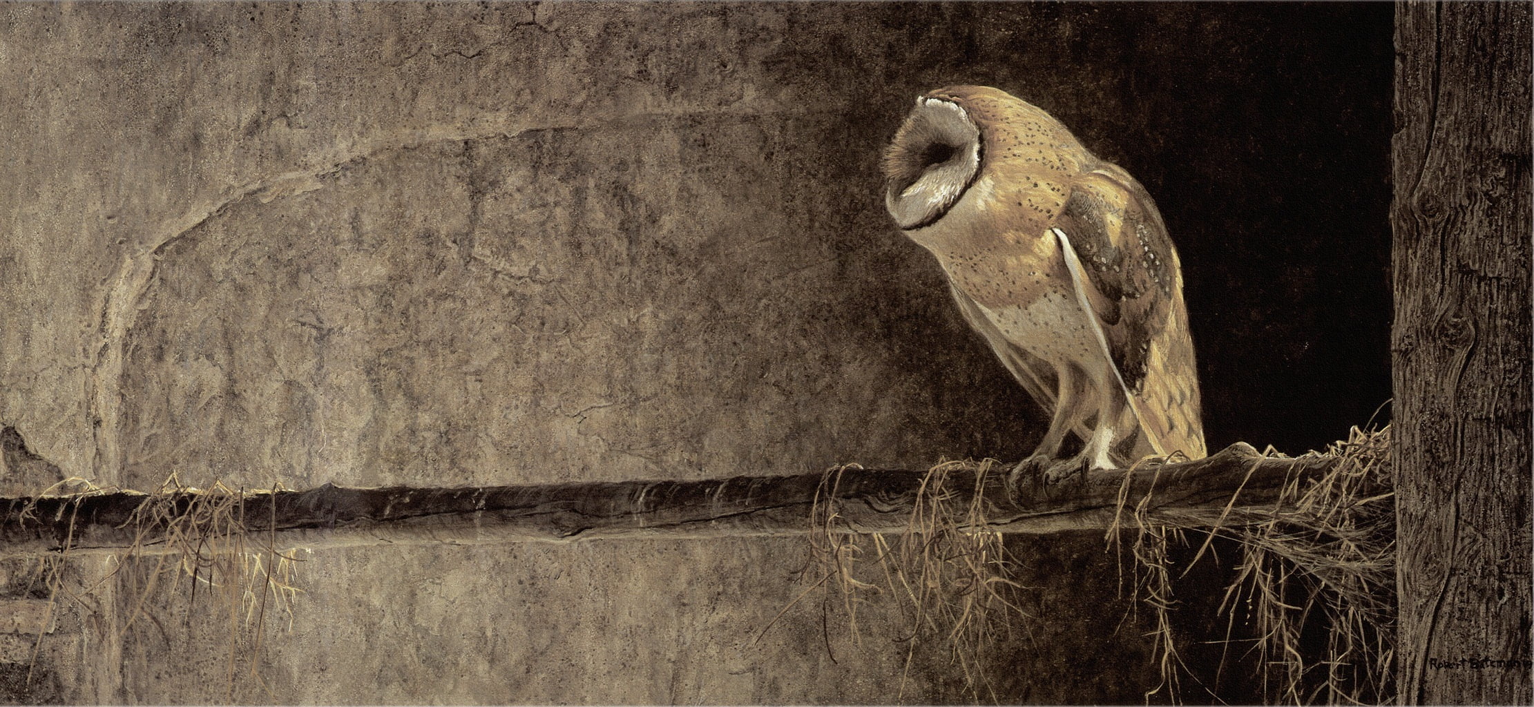 barn, perching, painting, ancient, vulture, day, plant, old-fashioned, no People, animal body part, close-up, animals in the wild, antique, animal themes, HD Wallpaper