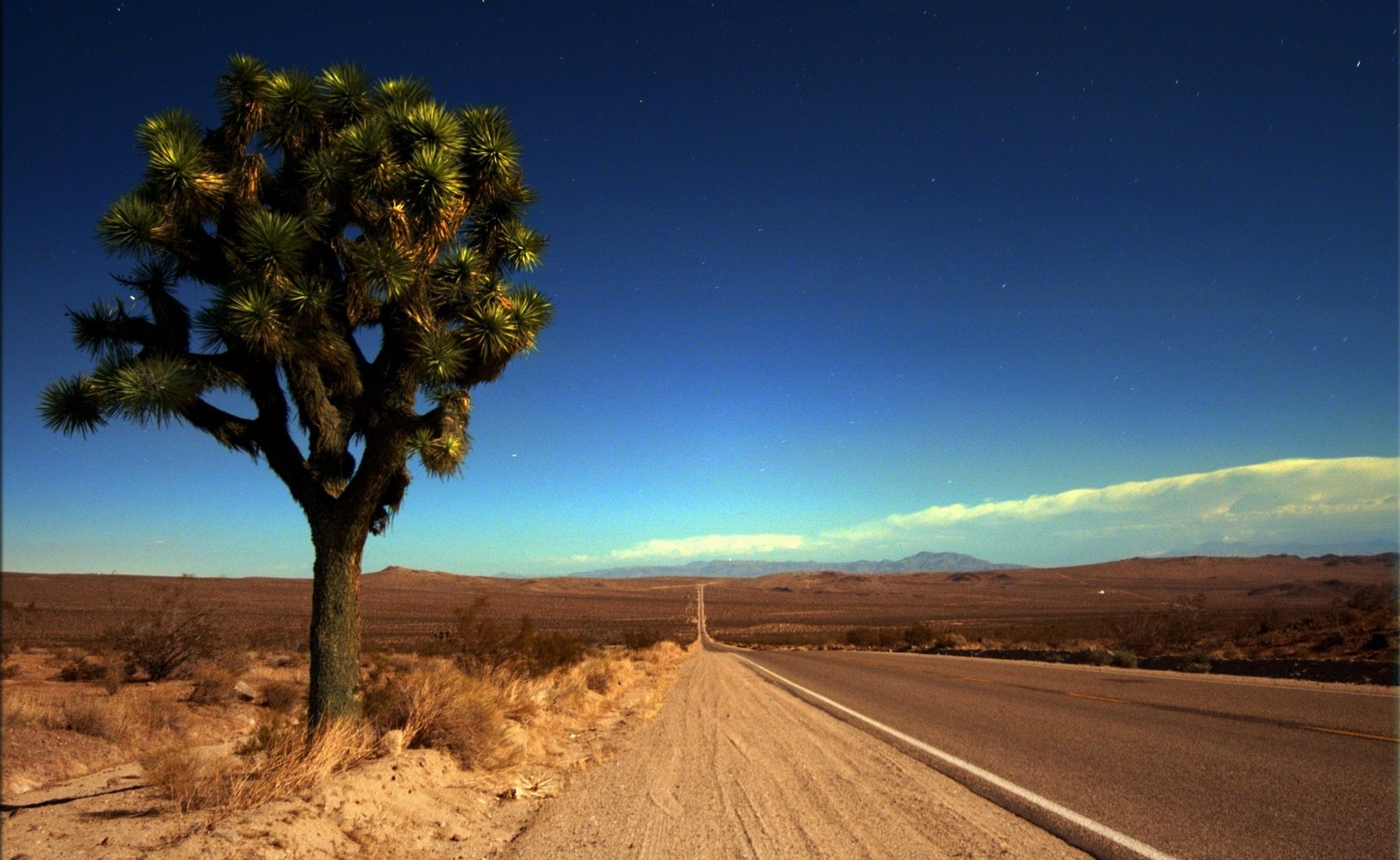 nature, tranquility, the way forward, beauty in nature, environment, land, sky, Vintage, plant, 2K, arid climate, diminishing perspective, climate, day, HD Wallpaper