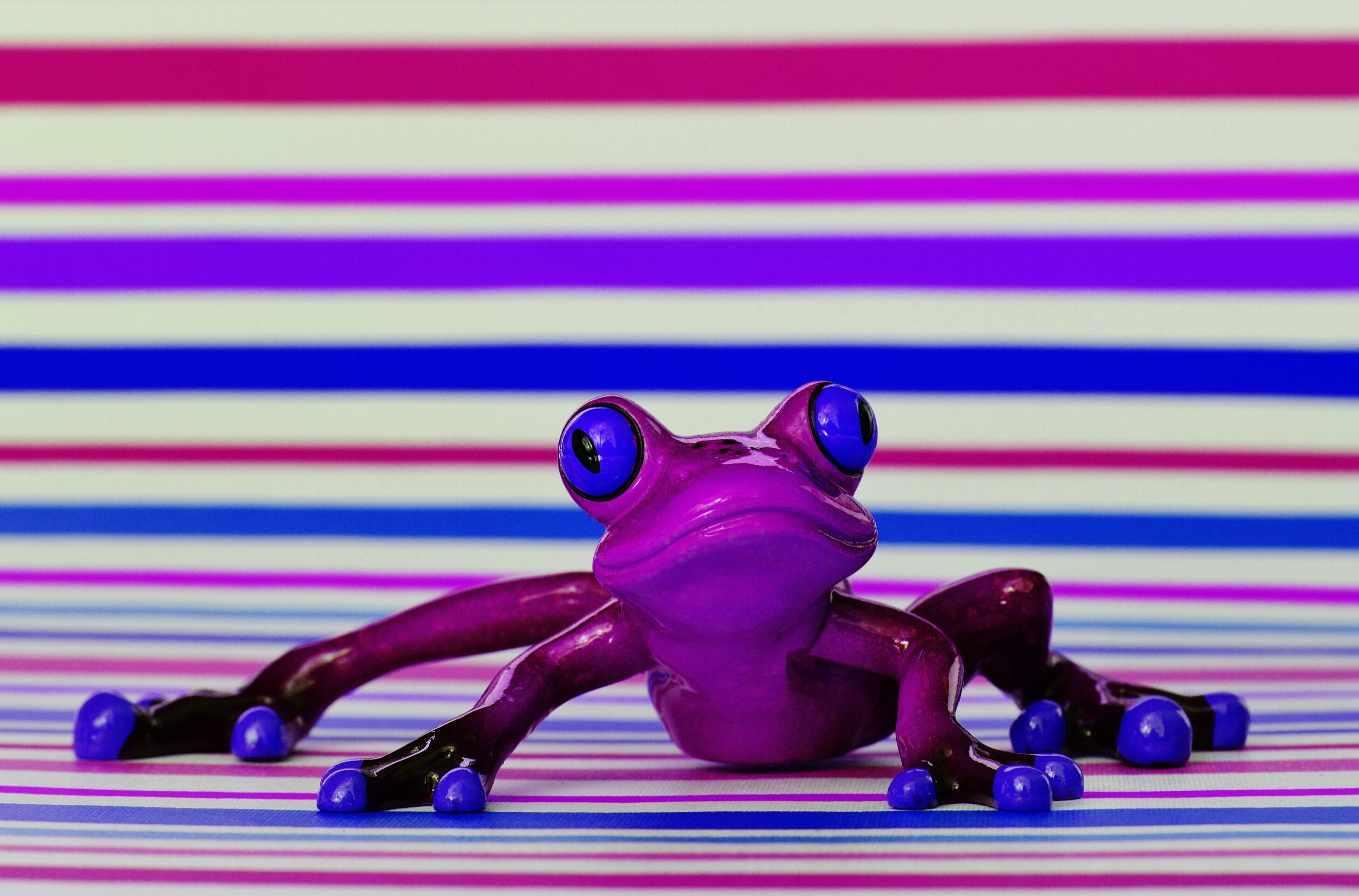indoors, figurine, 2K, still life, no people, figure, sport, table, multi colored, striped, technology, frog, animal themes, focus on foreground, retro styled, HD Wallpaper
