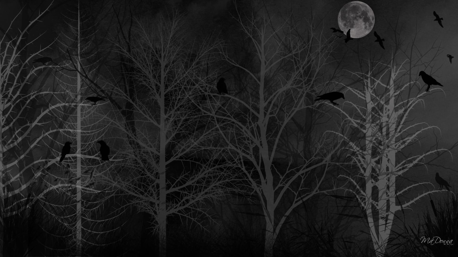 1080P, dark, spooky, 3d and abstract, firefox persona, moon, crows, forest, winter, black, birds, halloween, dreads, HD Wallpaper
