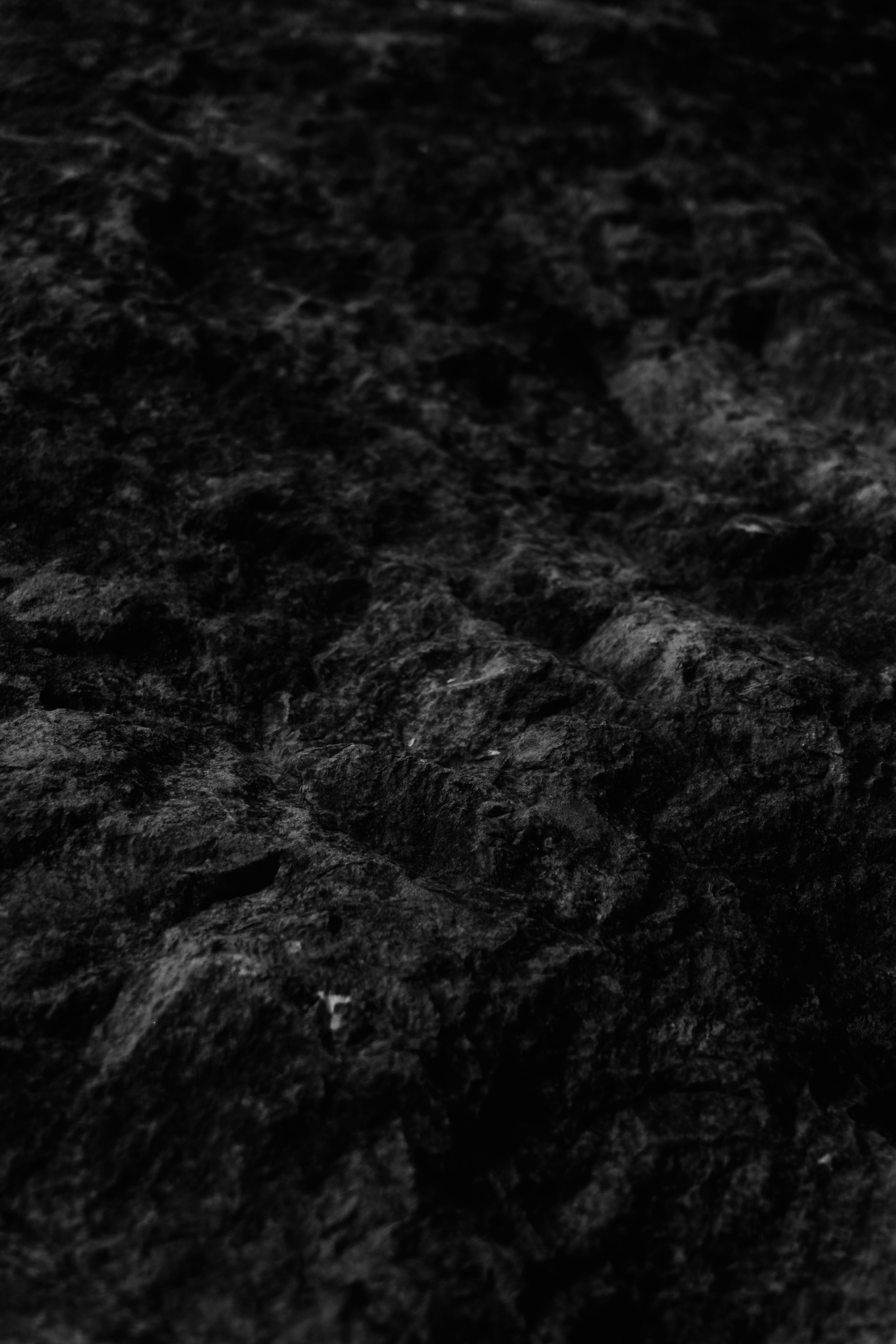 pattern, rough, tree, tarmac, backgrounds, brown, extreme close-up, ground, day, art and craft, plant, dark, land, forest, rainforest, jungle, conifer, Phone HD Wallpaper