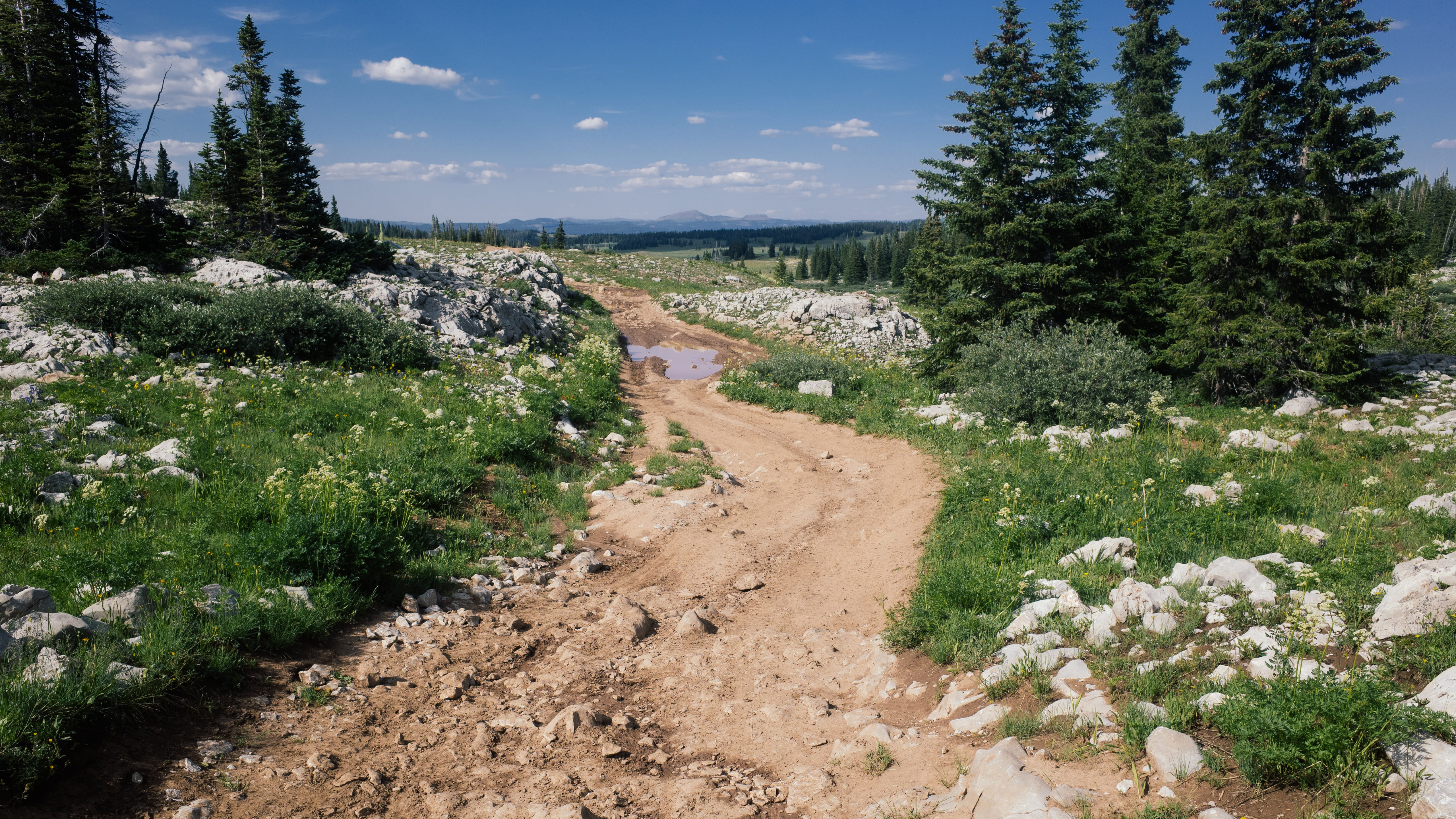 rocks, sky, road, trees, plant, beauty in nature, gypsum, dirt, tranquil scene, growth, tree, wilderness, cloud - sky, nature, landscape, green color, cycling, HD Wallpaper