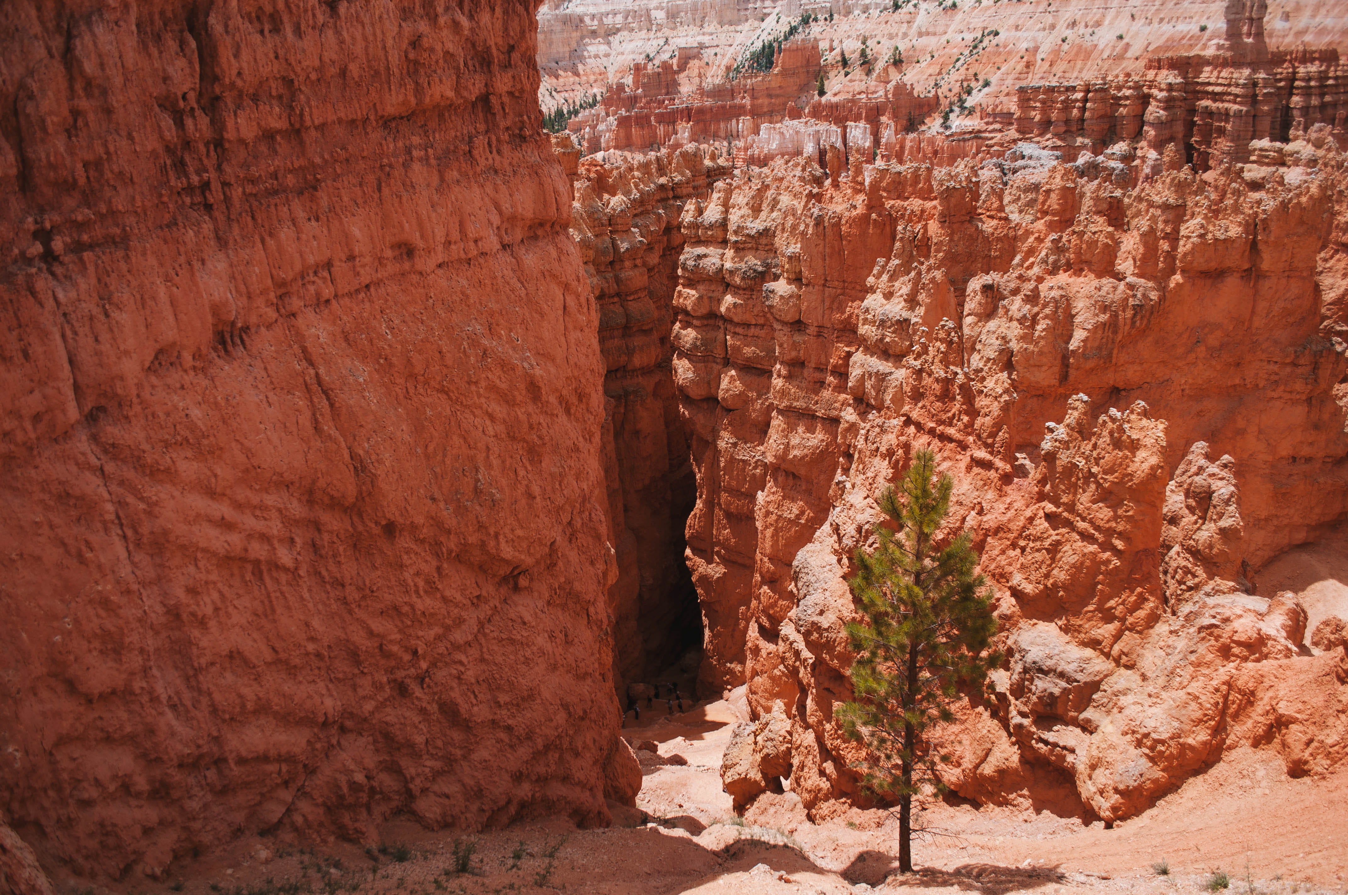 solid, physical geography, arid climate, rock formation, tranquility, geology, canyons, 4K, tourism, sunlight, nature, eroded, brown, day, canyon, bryce canyon, HD Wallpaper