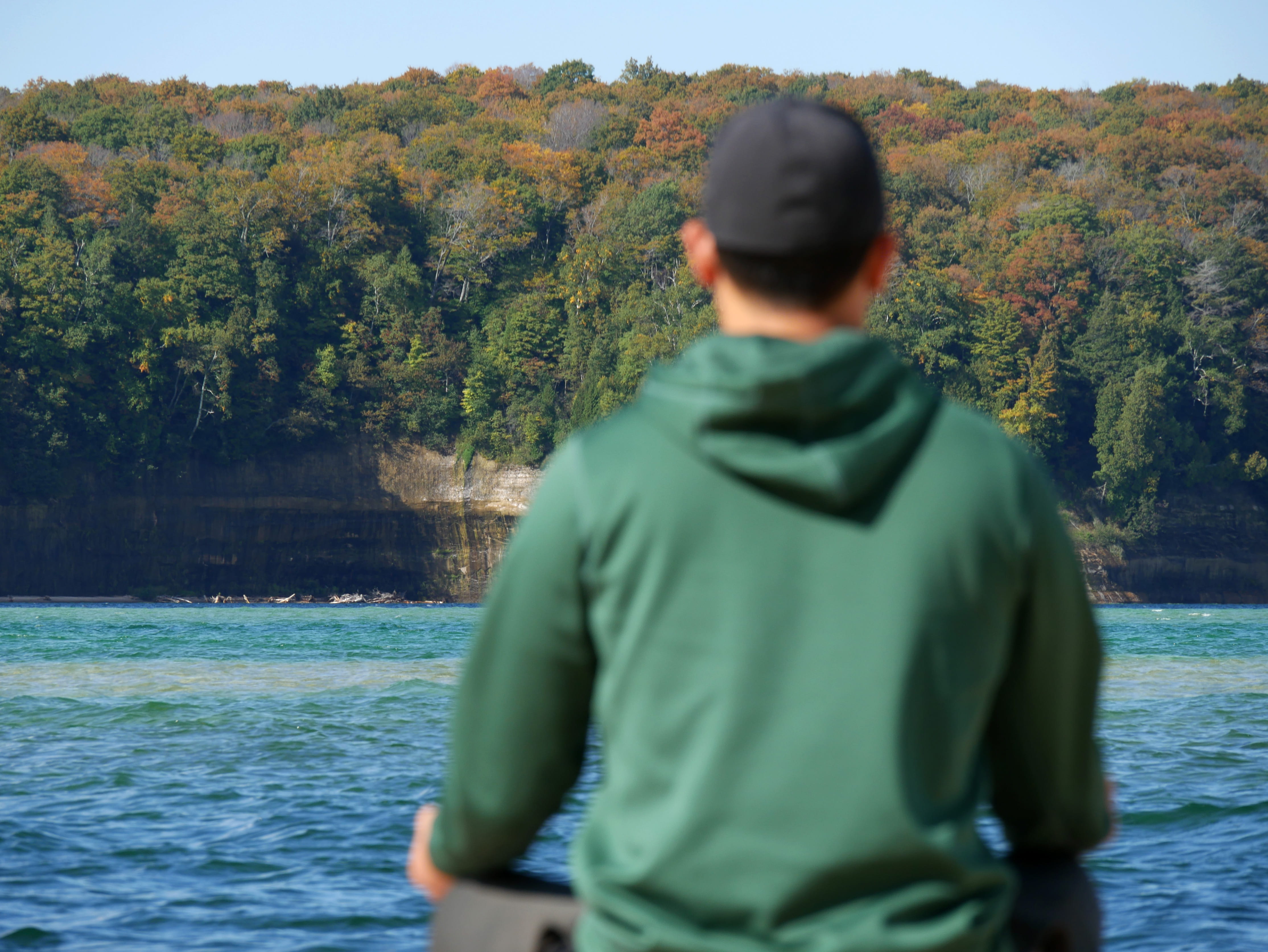 leisure activity, growth, 4K, tree, water, meditation, forest, pictured rocks, color, real people, blurred, plant, lake, outdoors, looking, nature, trees, HD Wallpaper