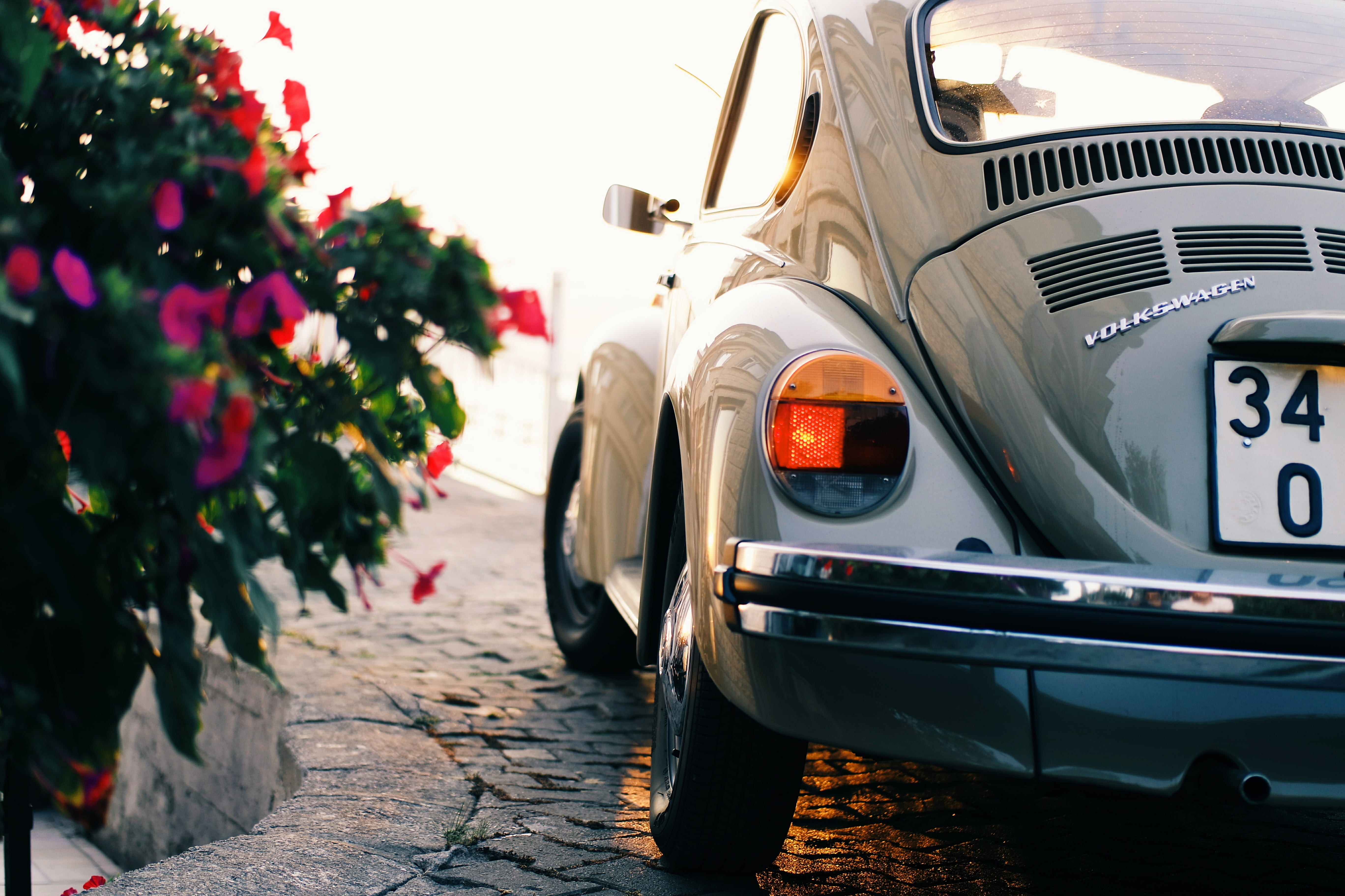 tail light, day, stationary, automotive, parked, volkswagen, nature, holiday, transportation, land vehicle, close-up, motor vehicle, daytime, beetle, tree, HD Wallpaper