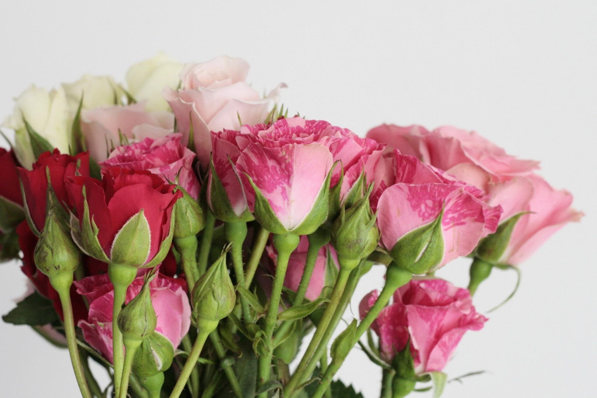 roses, flower, 1080P, pink, roes, flowers, bouquet, nature, HD Wallpaper