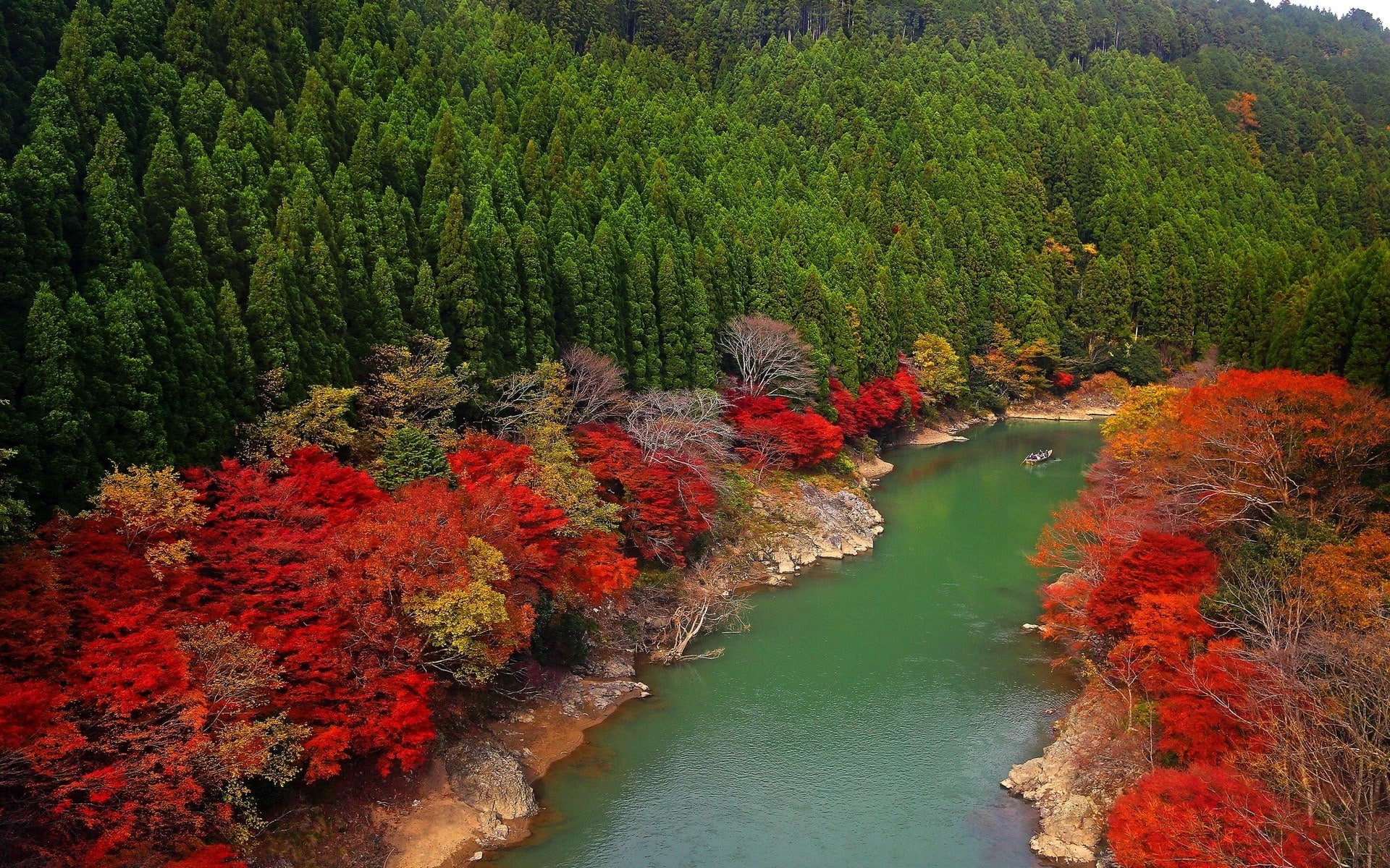 autumn, river, day, flowing water, change, no people, high angle view, outdoors, tree, non-urban scene, nature, growth, tranquility, water, unbelievably beautiful pictures nature 1920x1200, HD Wallpaper