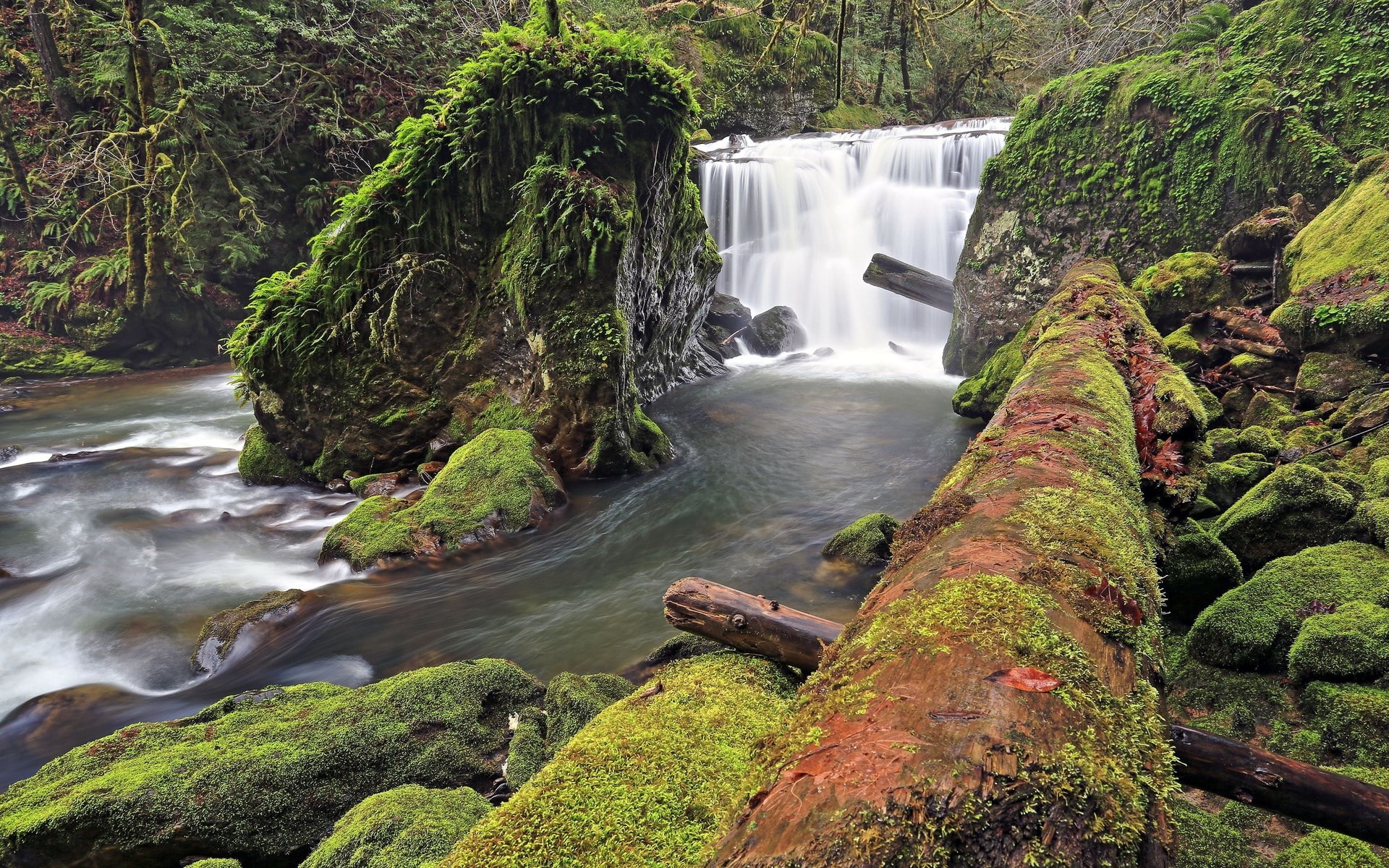 1080P, unbelievably beautiful pictures nature 1920x1200, HD Wallpaper