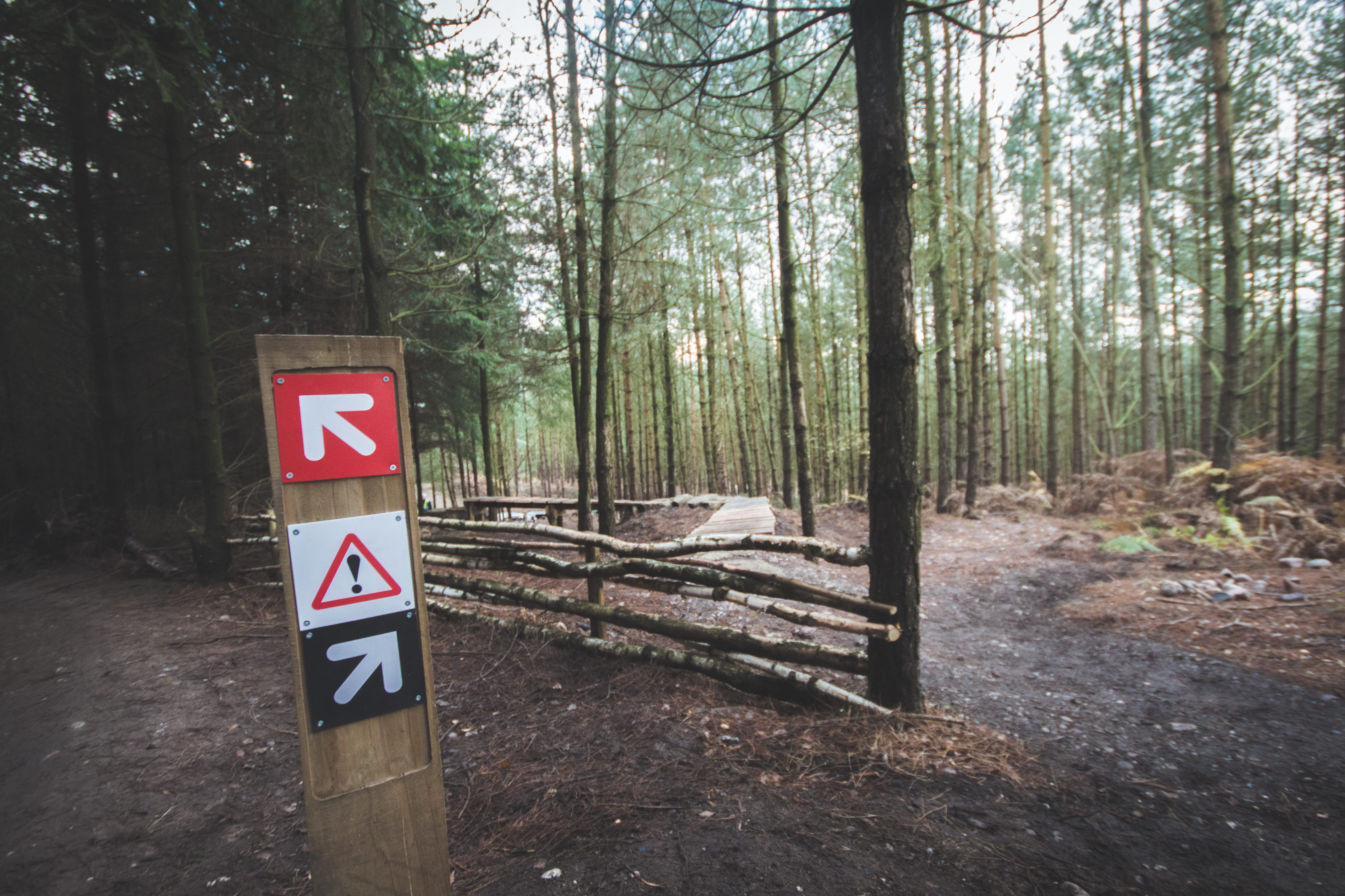 sign, growth, communication, information, warning, guidance, woodland, 5K, united kingdom, direction, west midlands, tree, warning sign, nature, tranquility, HD Wallpaper