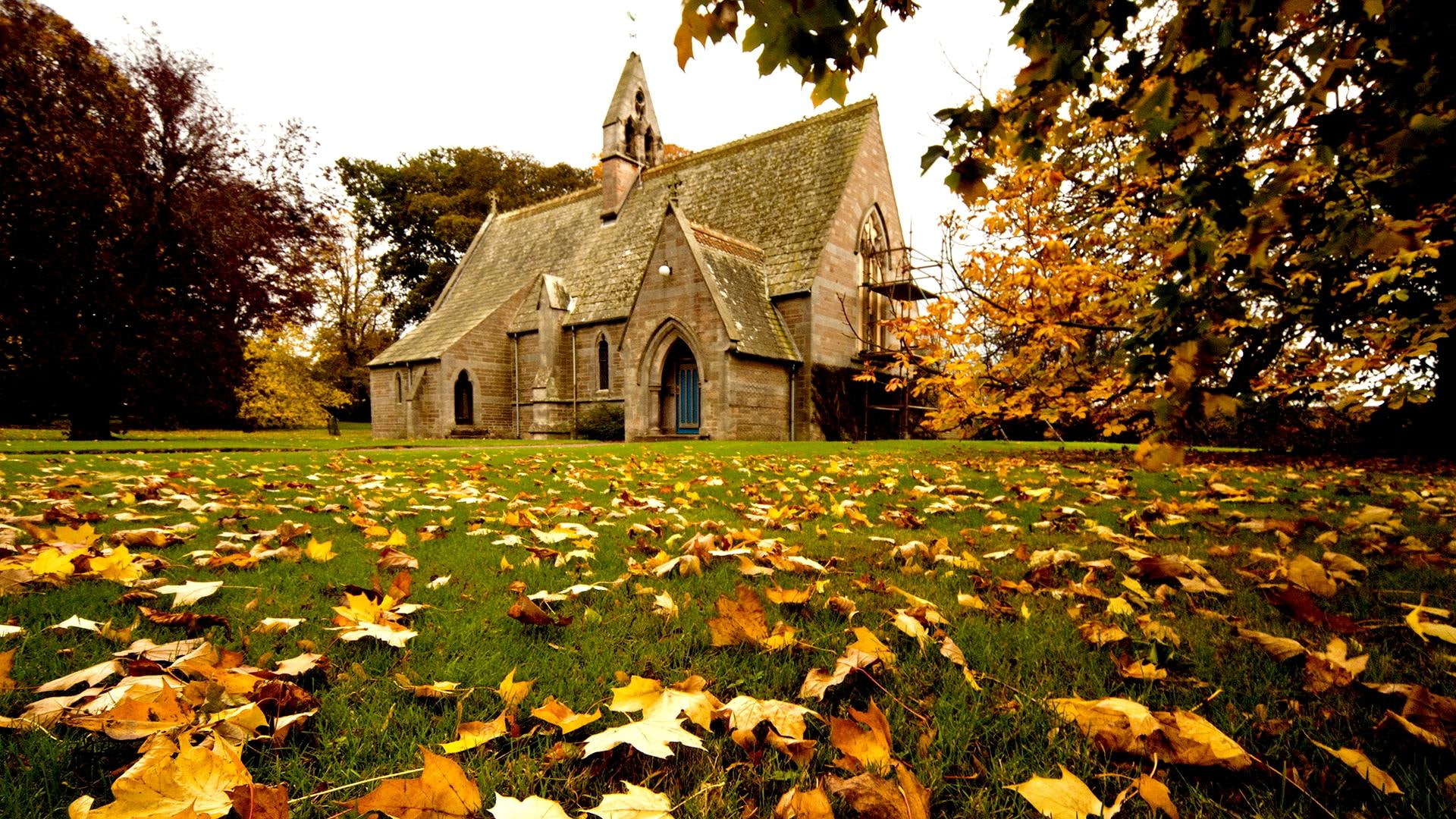 arch, fallen leaves, building, architecture, 1080P, scaffolding, british isle, seasons, church, autumn, plants, HD Wallpaper