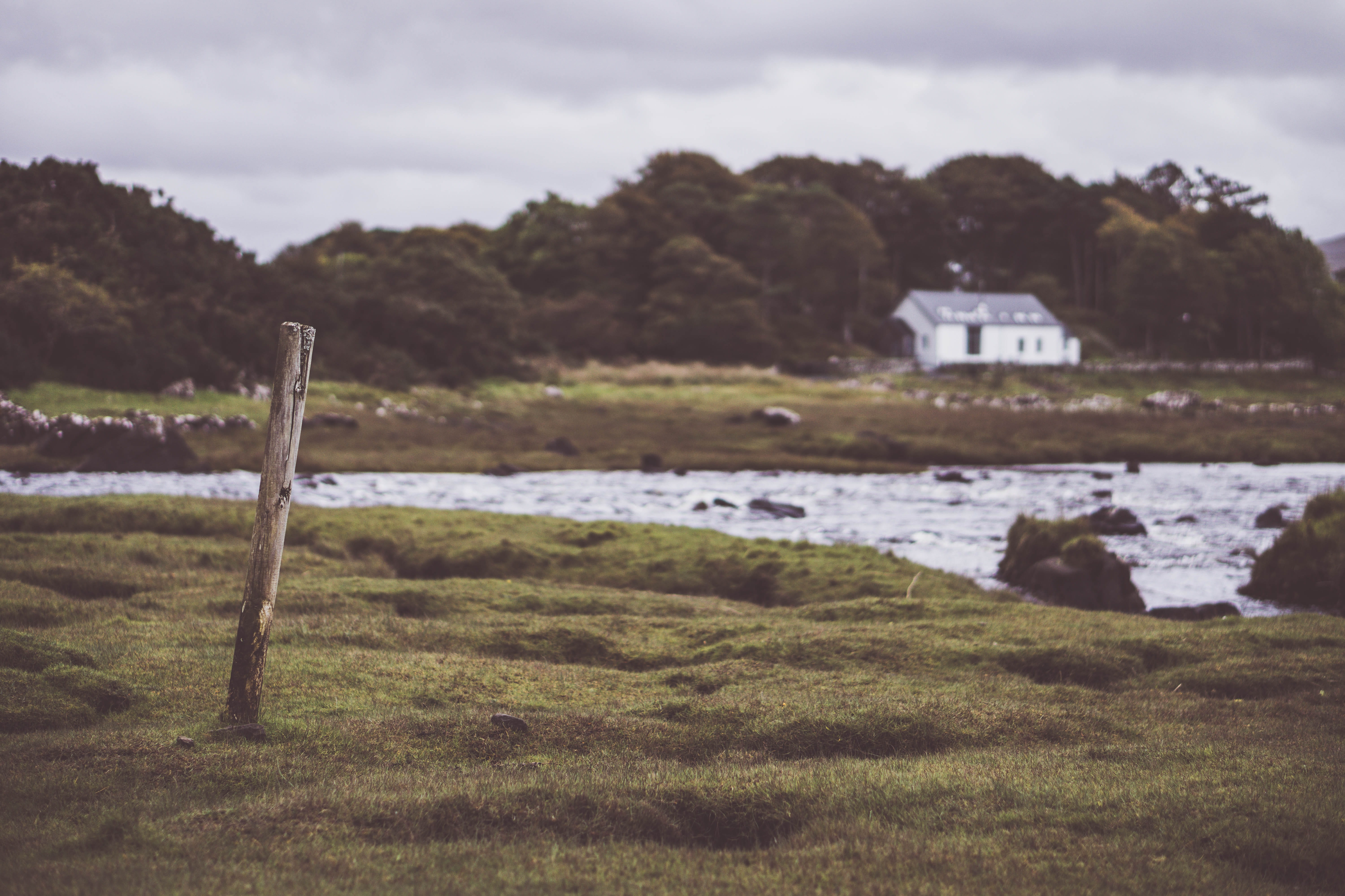 white cottage, housing, grass, sky, built structure, beauty in nature, plant, architecture, scenics - nature, nature, british coast, moorland, outdoors, HD Wallpaper