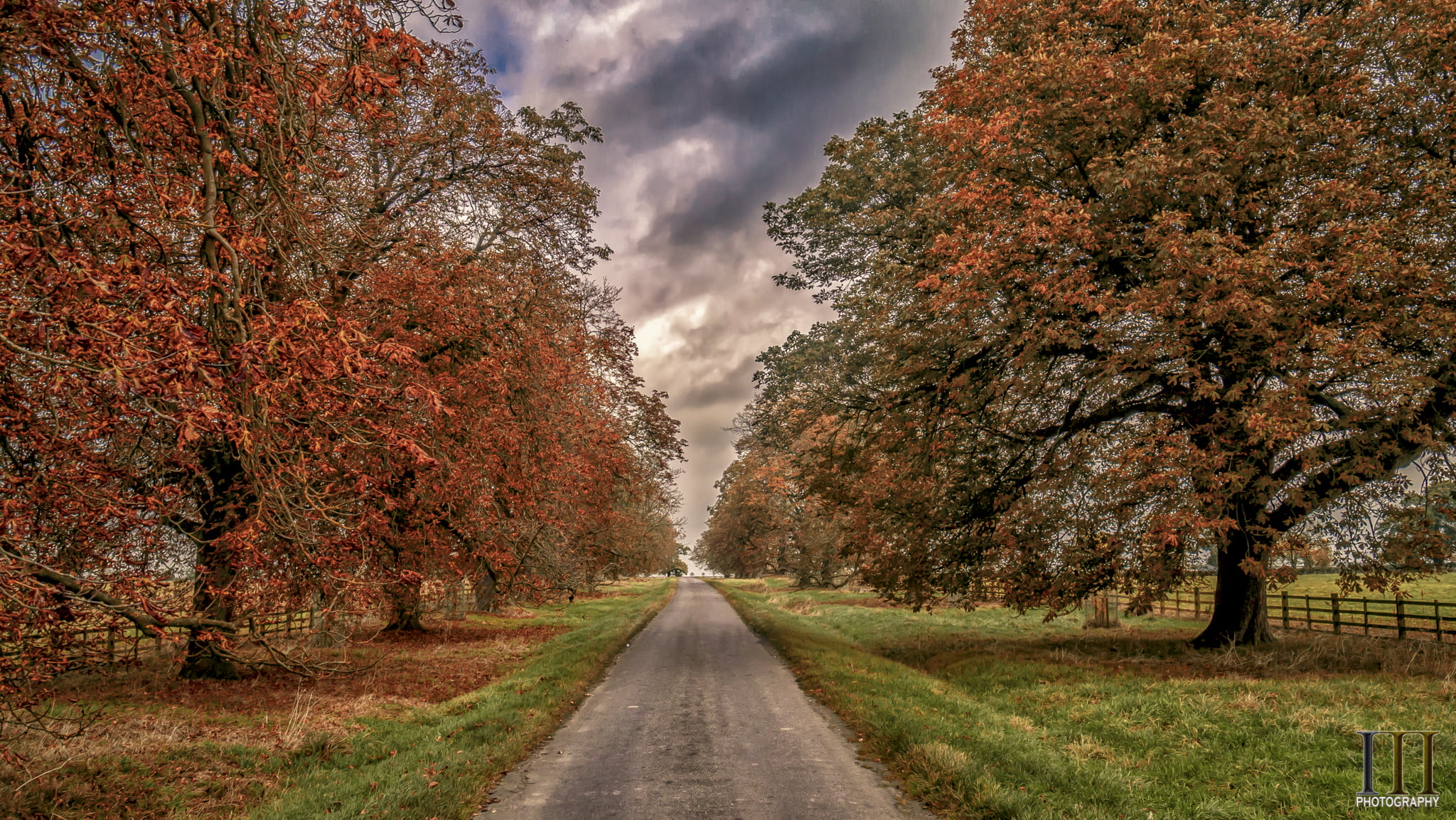 season, road, 1080P, Sky, Copper, Trees, Landscape, tree, outdoors, gray, Landscapes, Leicestershire, Clouds, yellow, forest, Skies, nature, october, autumn, HD Wallpaper