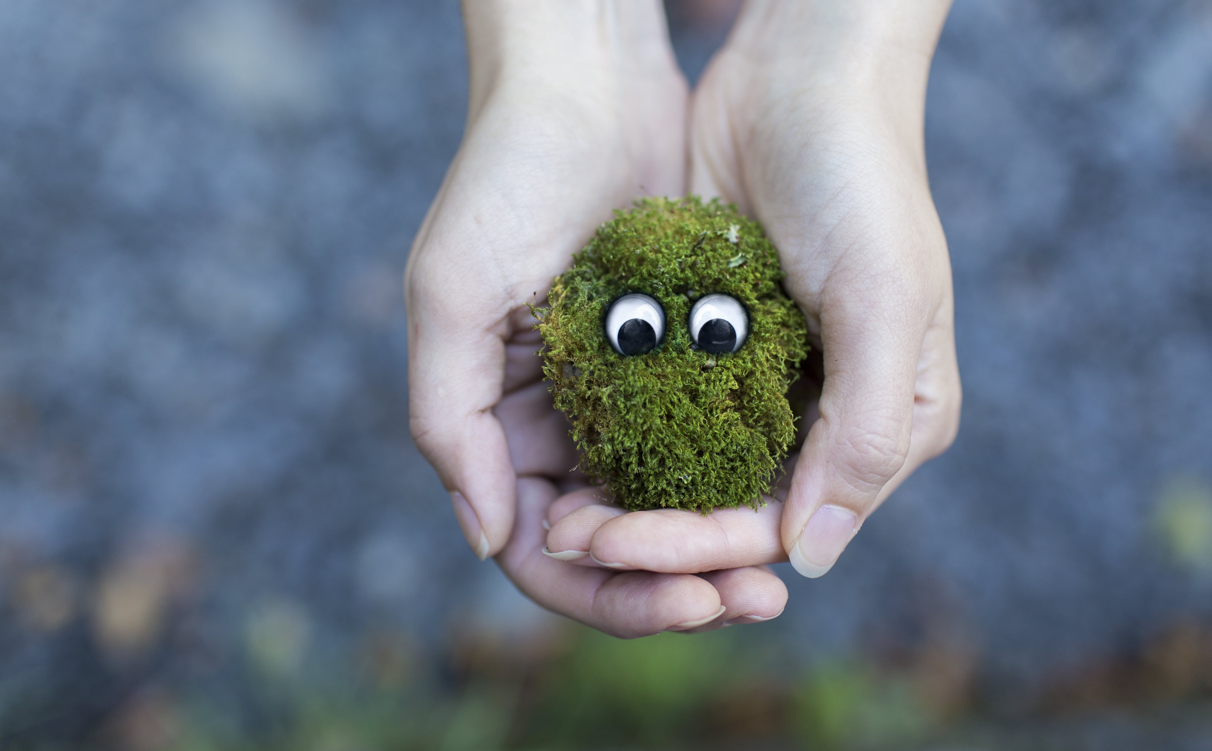 Nature, Animal, close-up, Cute, conservation, Plant, Protection, Creature, googlyeyes, Help, human finger, holding, green color, googly, 5K, finger, day, HD Wallpaper