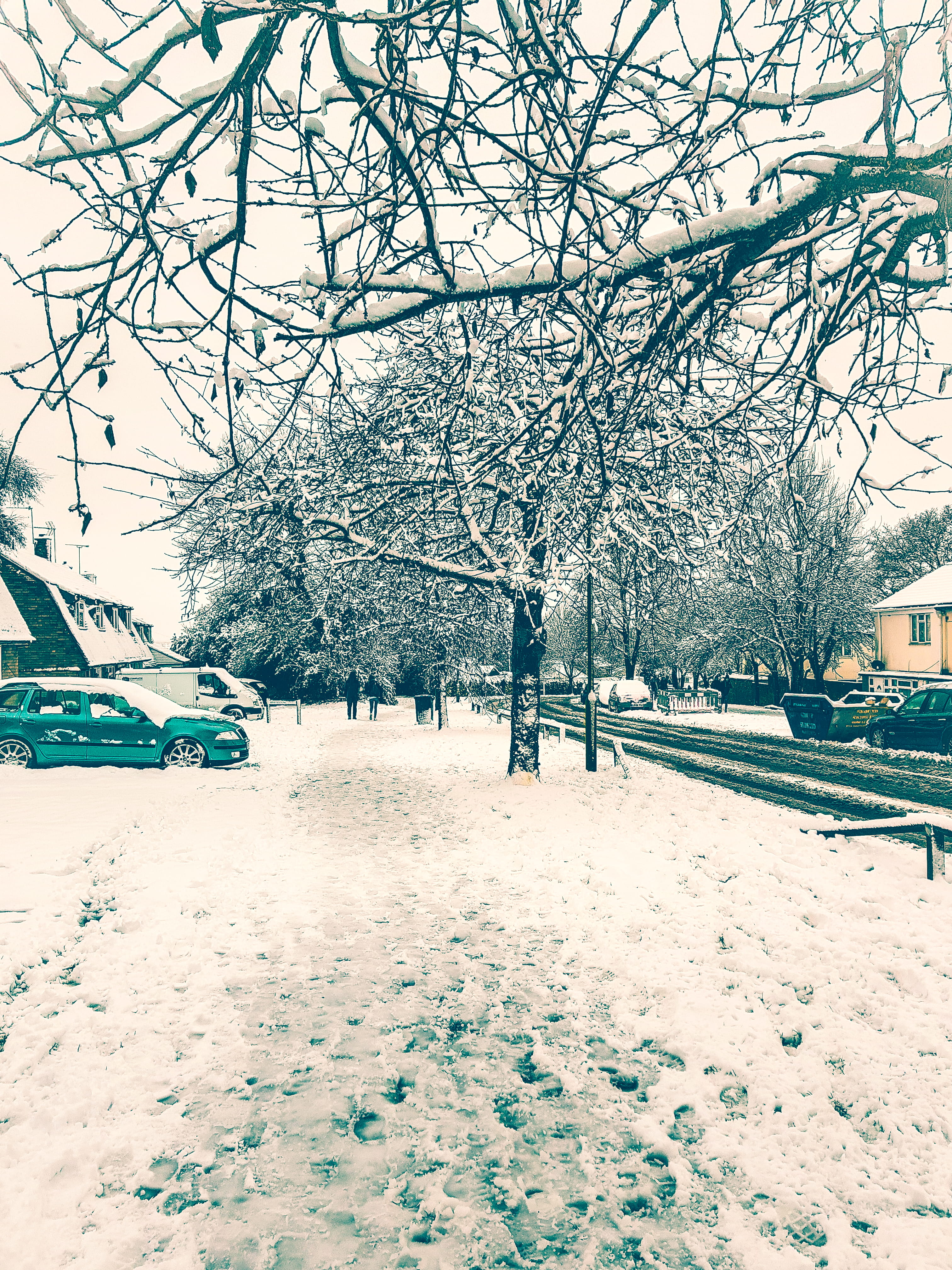 mode of transportation, nature, one person, bare tree, motor vehicle, car, city, white color, london, winter, covering, transportation, architecture, tree, Phone HD Wallpaper