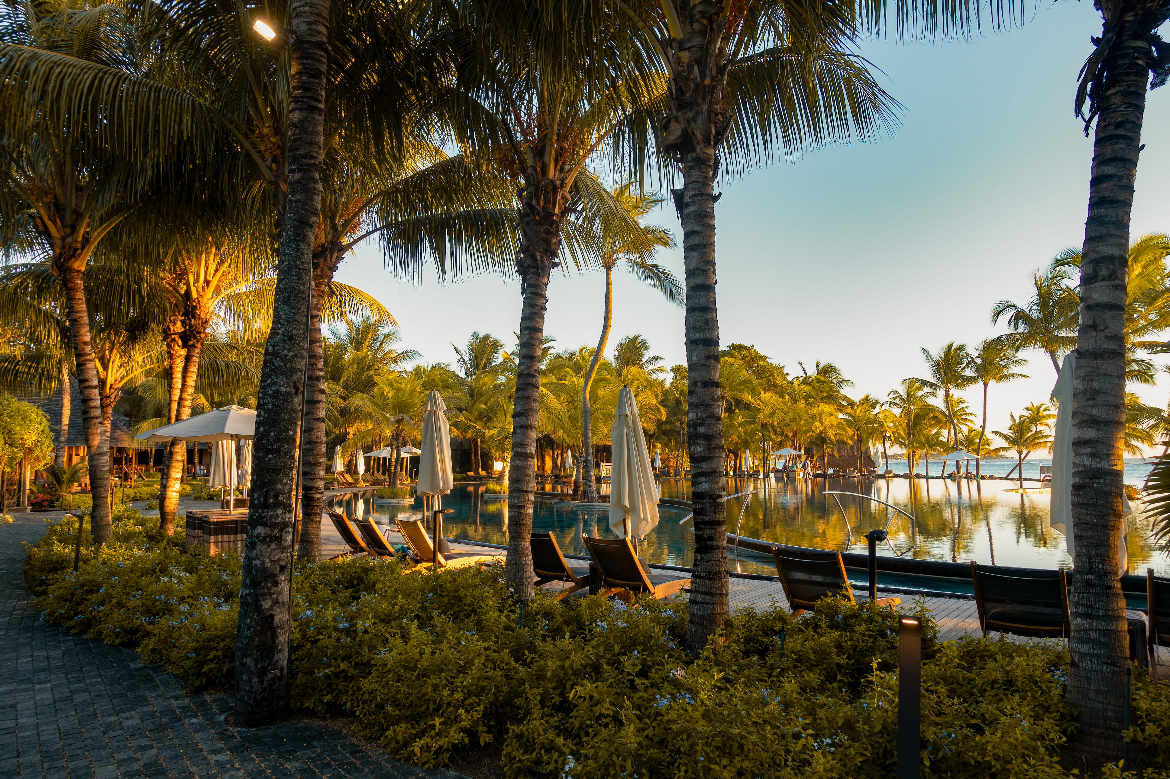 umbrella, flora, sky, no people, park, water, tree, chaise lounge, tropical climate, beauty in nature, tree trunk, hotel, outdoors, trunk, park - man made space, HD Wallpaper