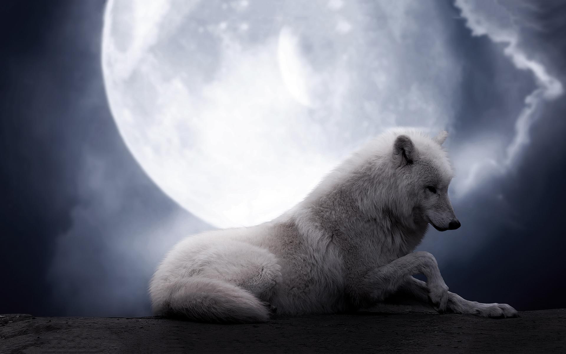 wolf, 1080P, fantastic, wolves, 3d and abstract, planet, arctic, resting, moon, fantasy, HD Wallpaper