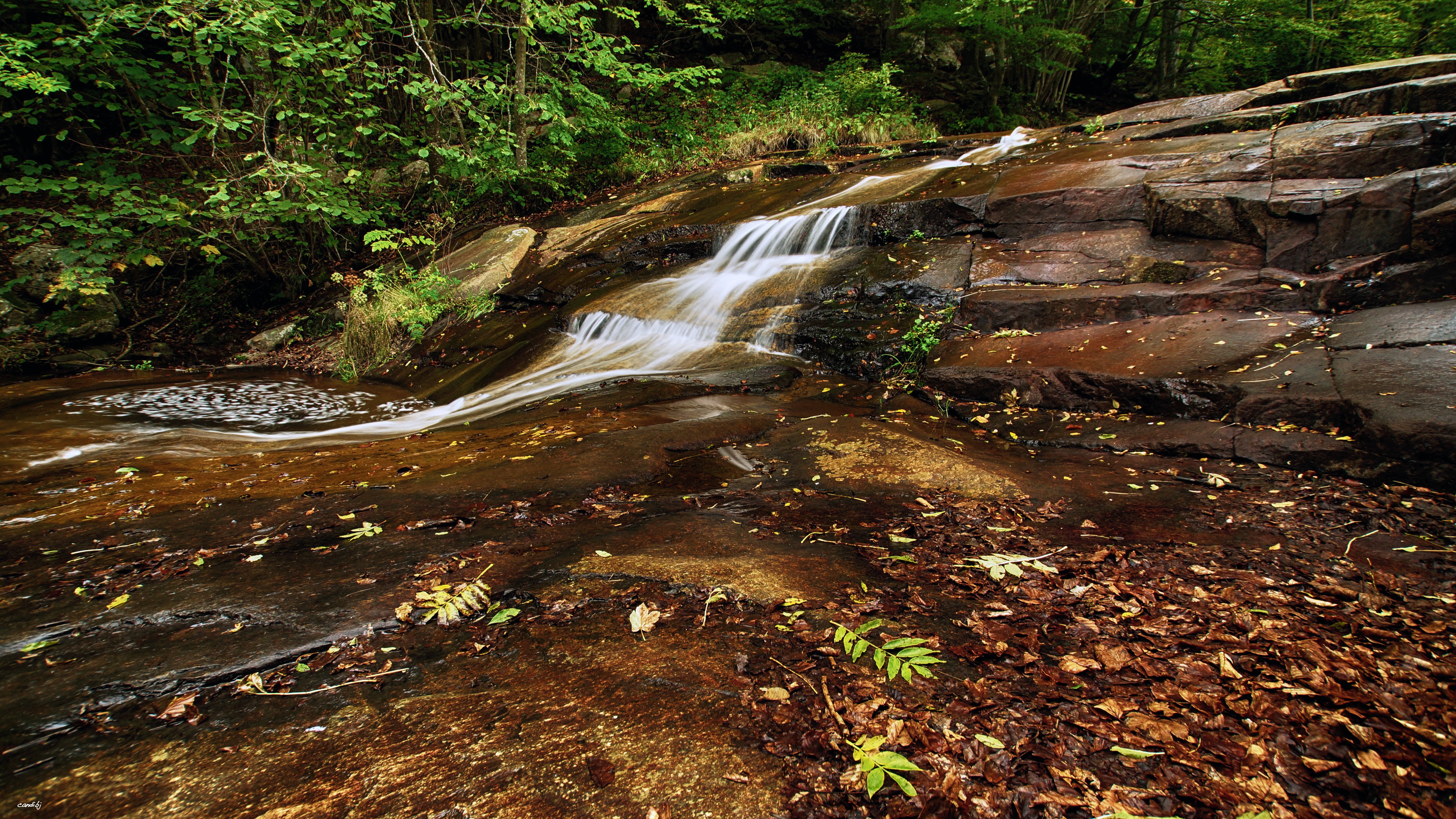 5K, nature, water, brown, Santa Fe, scenics, stream, A77, green Color, agua, illustration, leaf, Sony, outdoors, corriente, de, rock - Object, tree, Montseny, HD Wallpaper