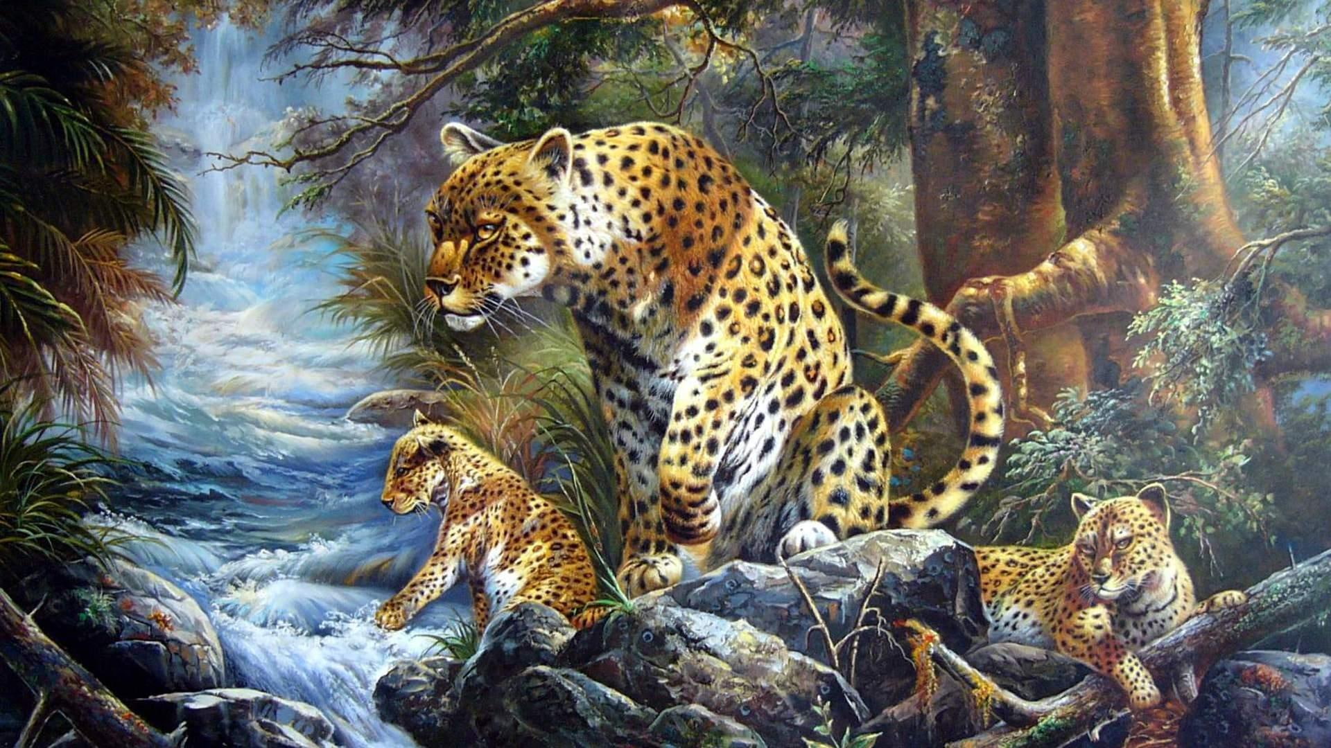 panthers, 1080P, cubs, tiger, wild, jaguar, habitat, big cats, small cats, animals, lion, leopards, wildlife, nature, spots, HD Wallpaper