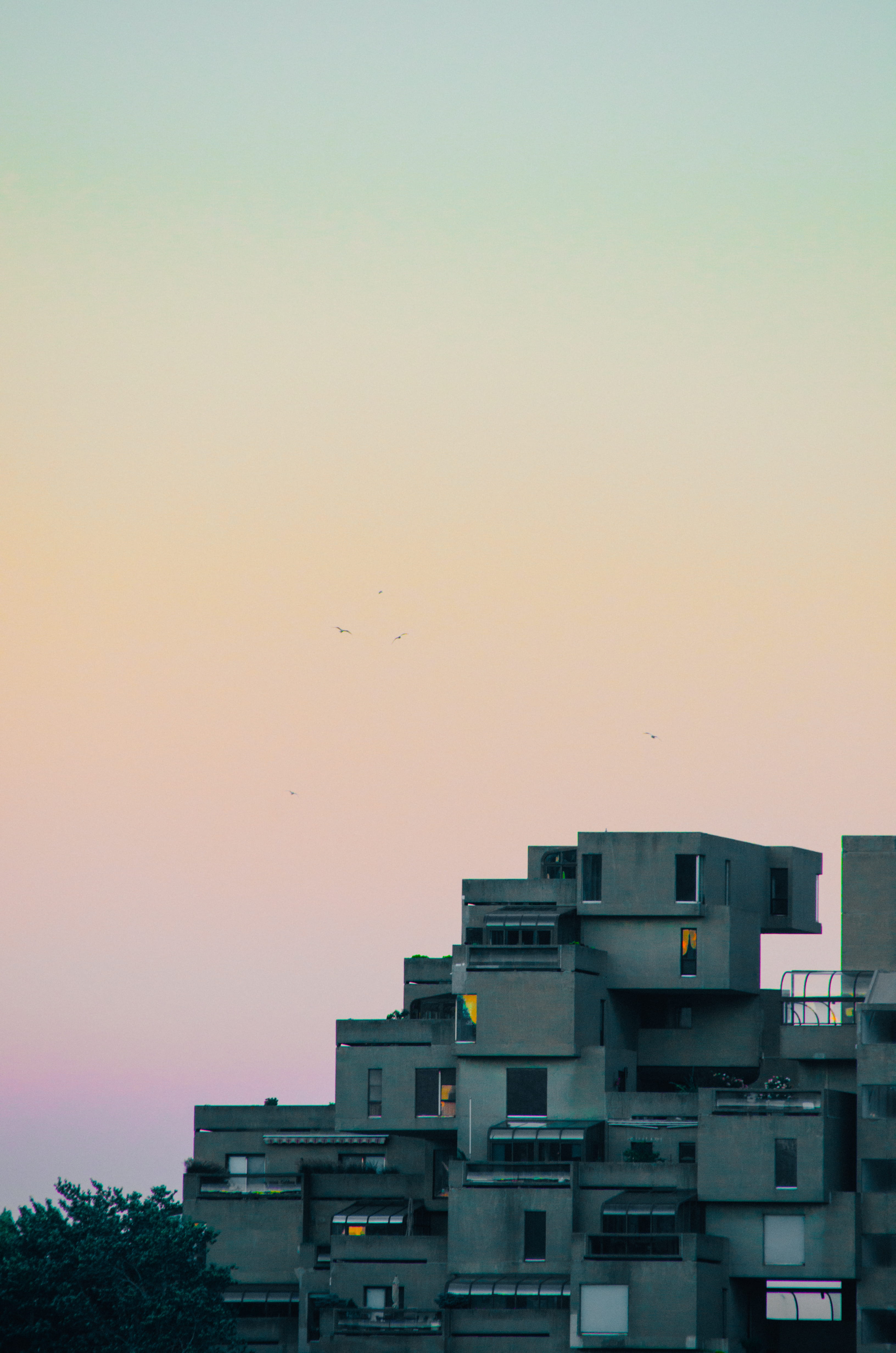 city, clear sky, habitat 67, building, residential district, animal, animal themes, low angle view, 4K, building exterior, architecture, dusk, built structure, Phone HD Wallpaper
