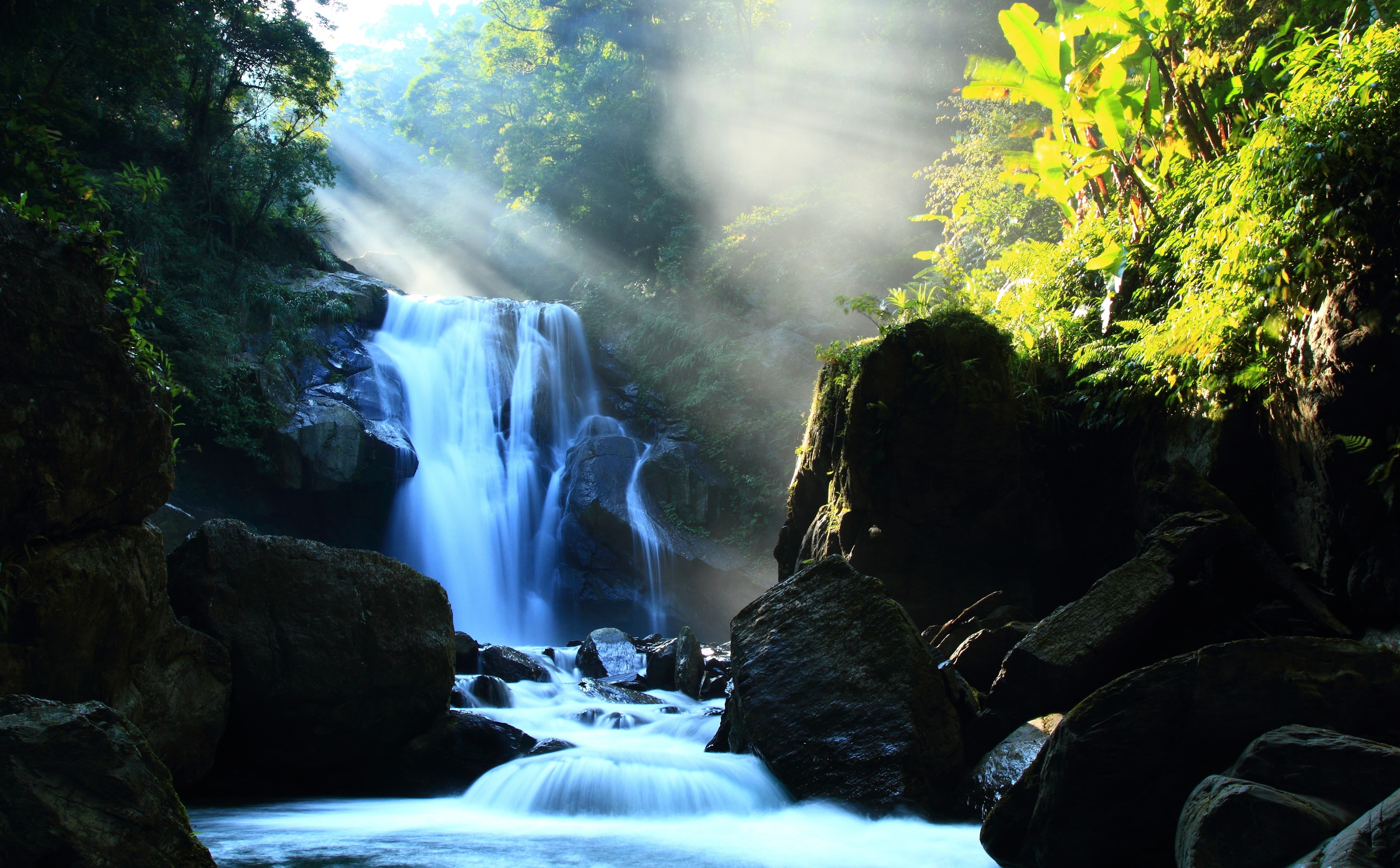 5K, Nature, beauty in nature, power in nature, green, leafed, blurred motion, rock - object, motion, water, rock, forest, outdoors, flowing water, Splendid, HD Wallpaper