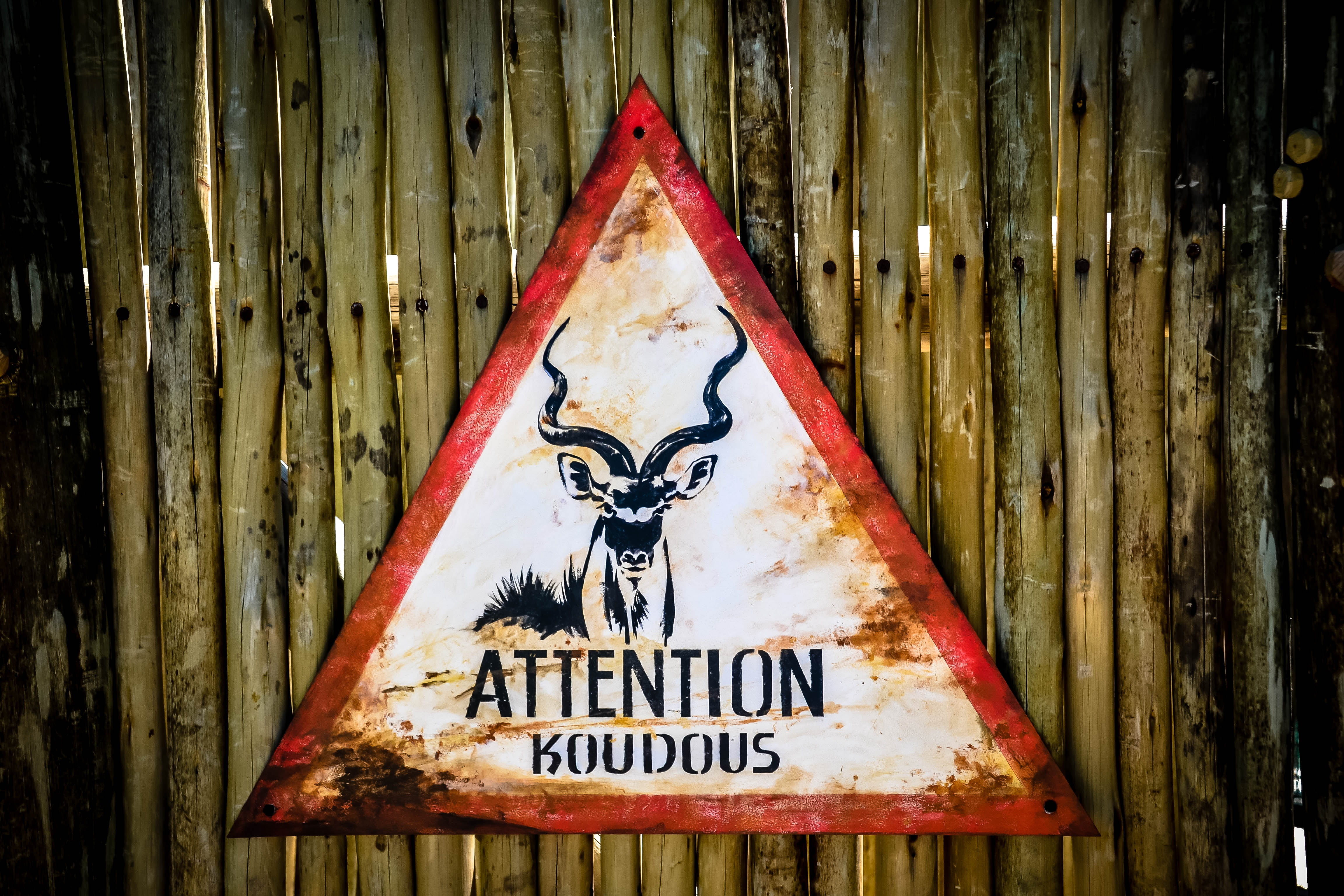 male likeness, rusty, 4K, no people, hanging, text, human representation, wood - material, boundary, close-up, metal, brand, information, kudu, rust, communication, HD Wallpaper