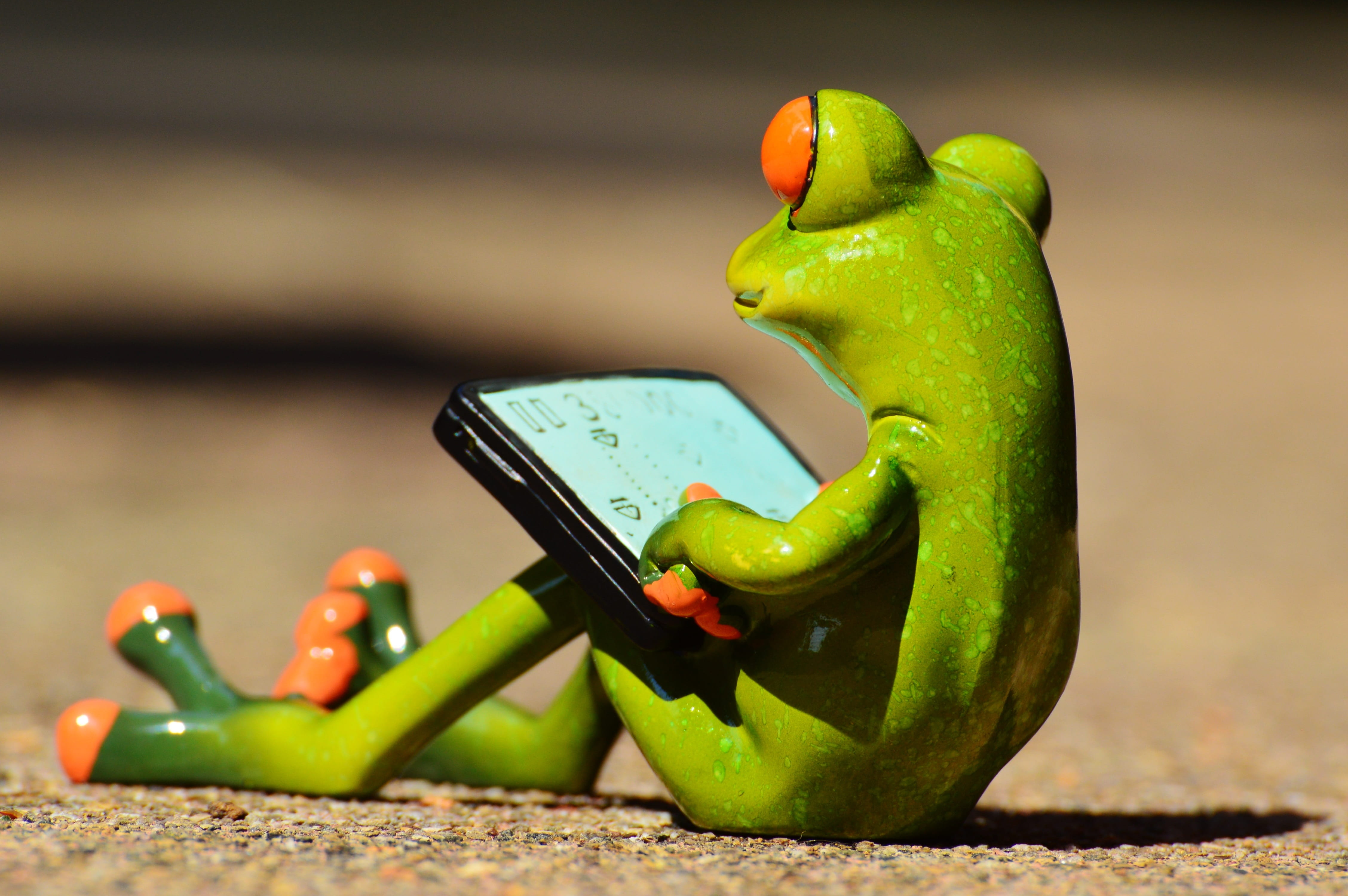 fruit, green, portable information device, food, funny, 4K, Fun, Frog Eyes, frog, connection, no people, using, smartphone, day, cute, smart phone, freshness, HD Wallpaper