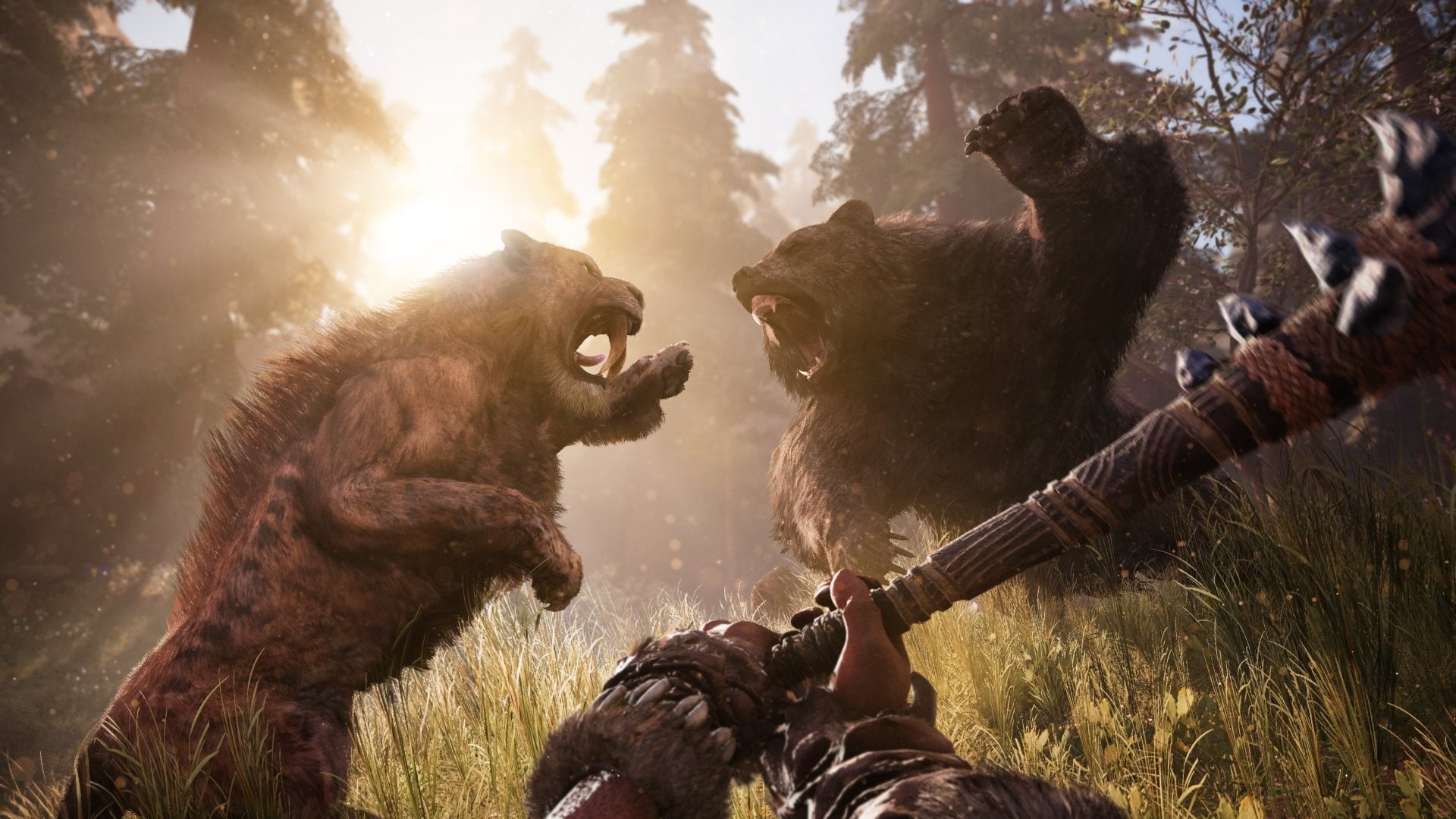 1080P, Far Cry Primal, Far Cry, HD Wallpaper