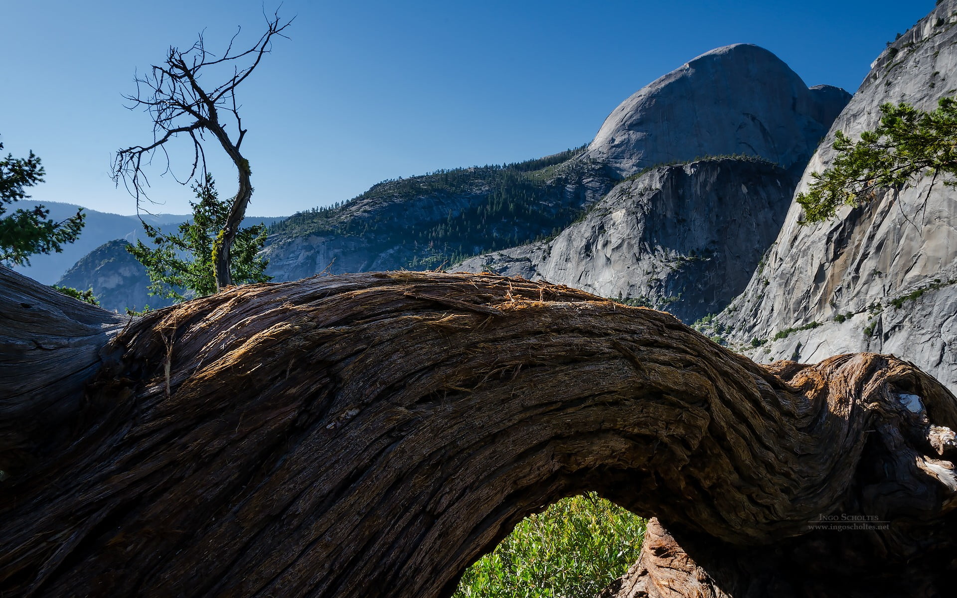 environment, California, 1080P, nature, trees, land, sky, tranquil scene, non-urban scene, plant, scenics - nature, day, tranquility, Yosemite National Park, HD Wallpaper