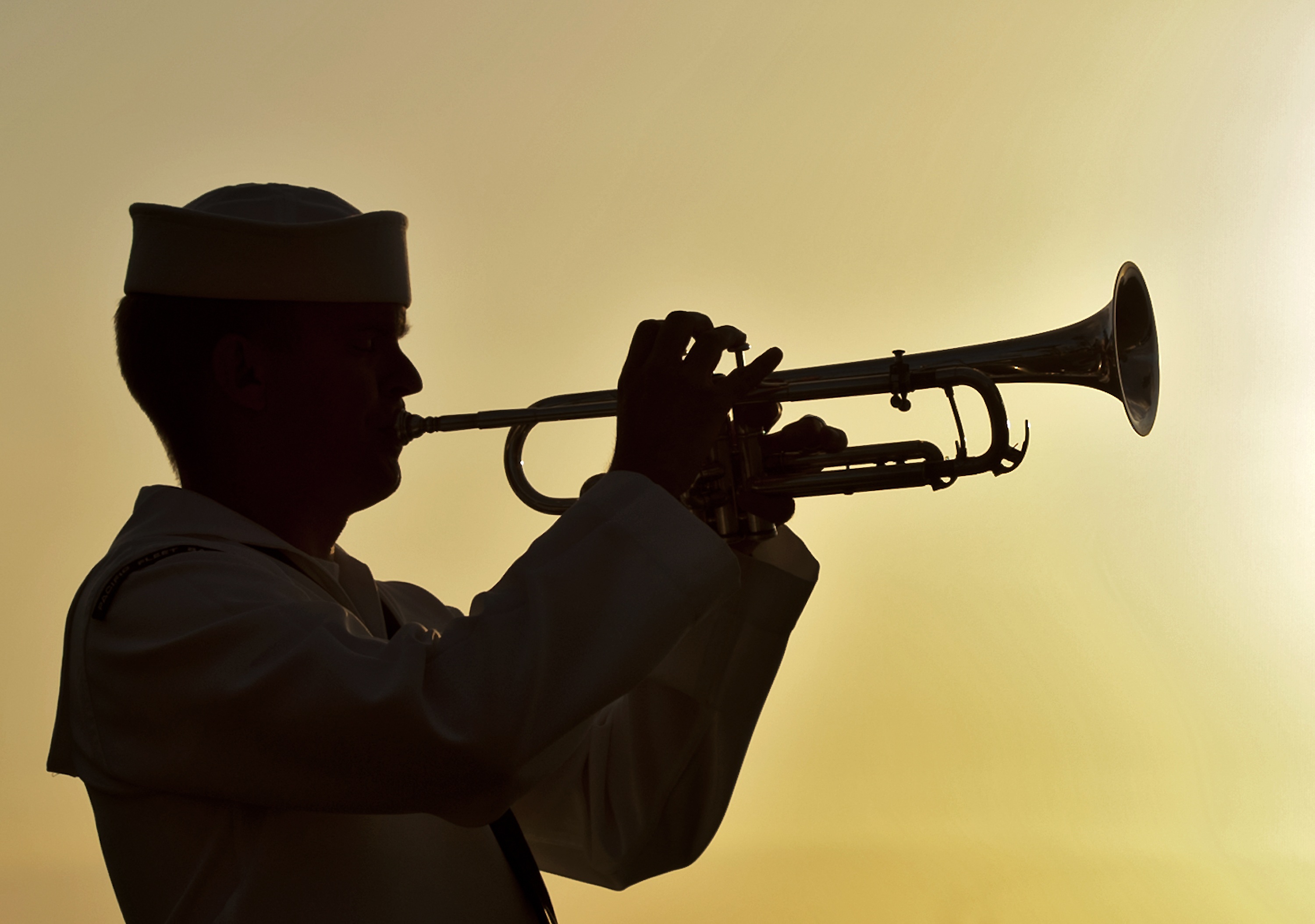 headshot, wind, music, sailor, musical Instrument, hat, man, arts culture and entertainment, instrument, sound, navy, playing, clothing, profile view, men, HD Wallpaper