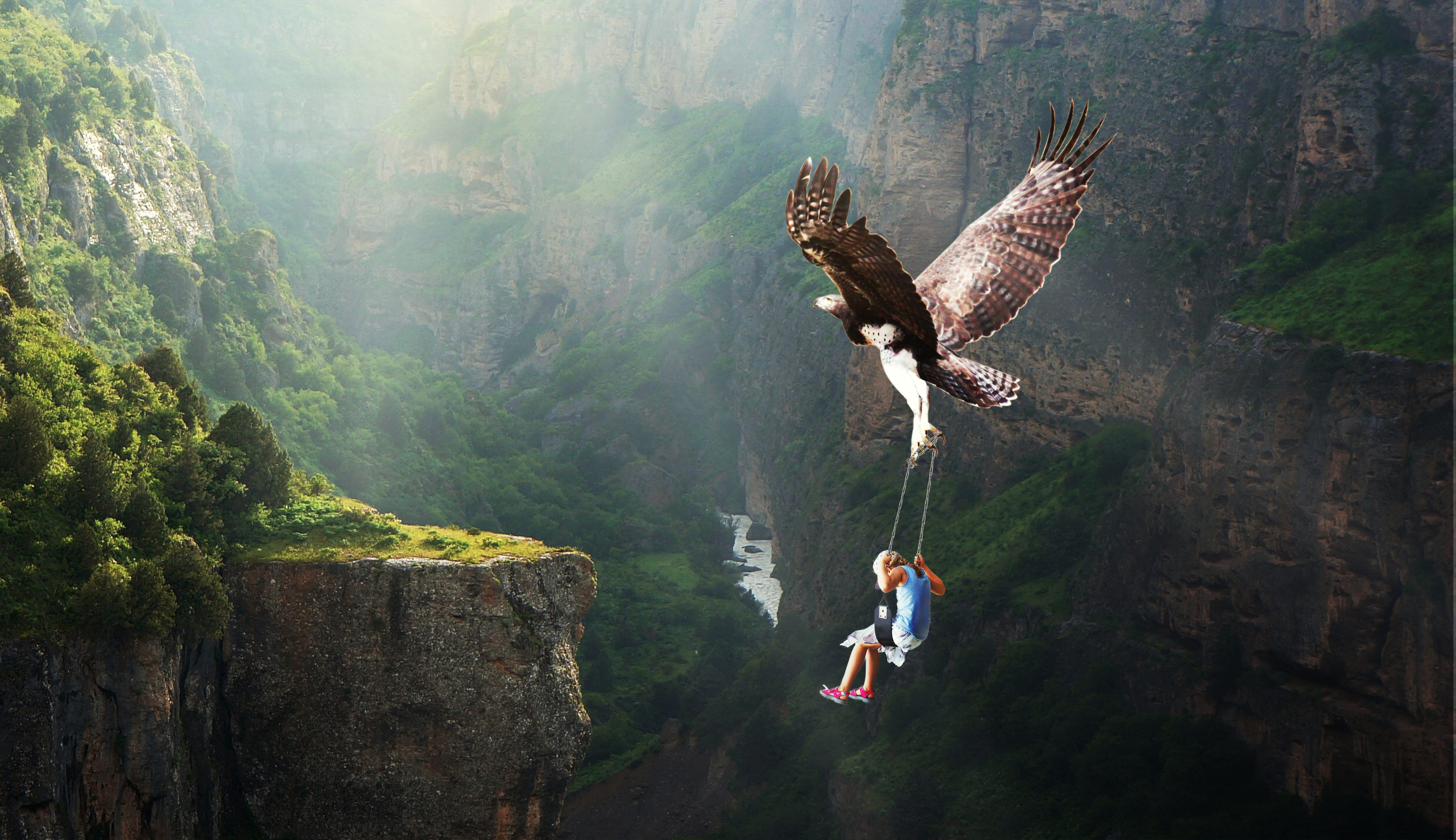 forest, fantasy, animal wing, outdoors, eagle - bird, spread wings, land, tree, adult, adventure, dreams, vertebrate, waters, freedom, bird of prey, flying, HD Wallpaper