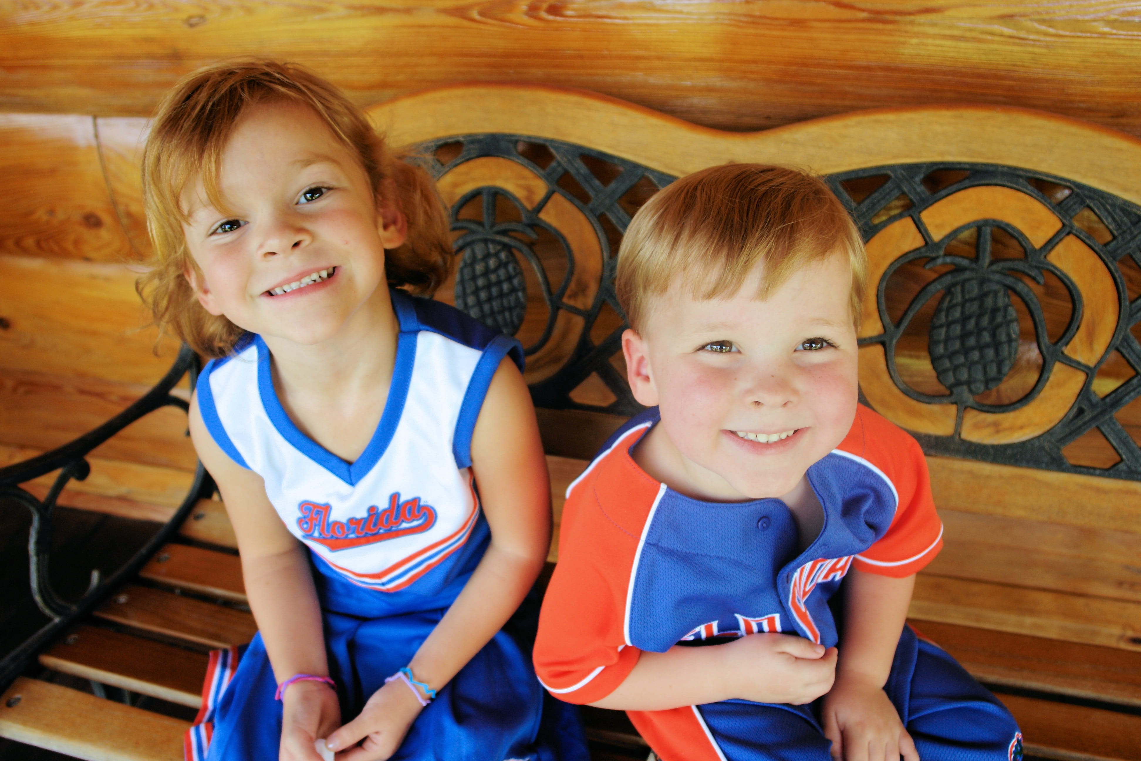 uniform, game, adorable, gator fans, lifestyle, males, smile, enthusiasm, happy, sport, team, two, spirit, innocence, portrait, cheer, fun, beside, brother, HD Wallpaper