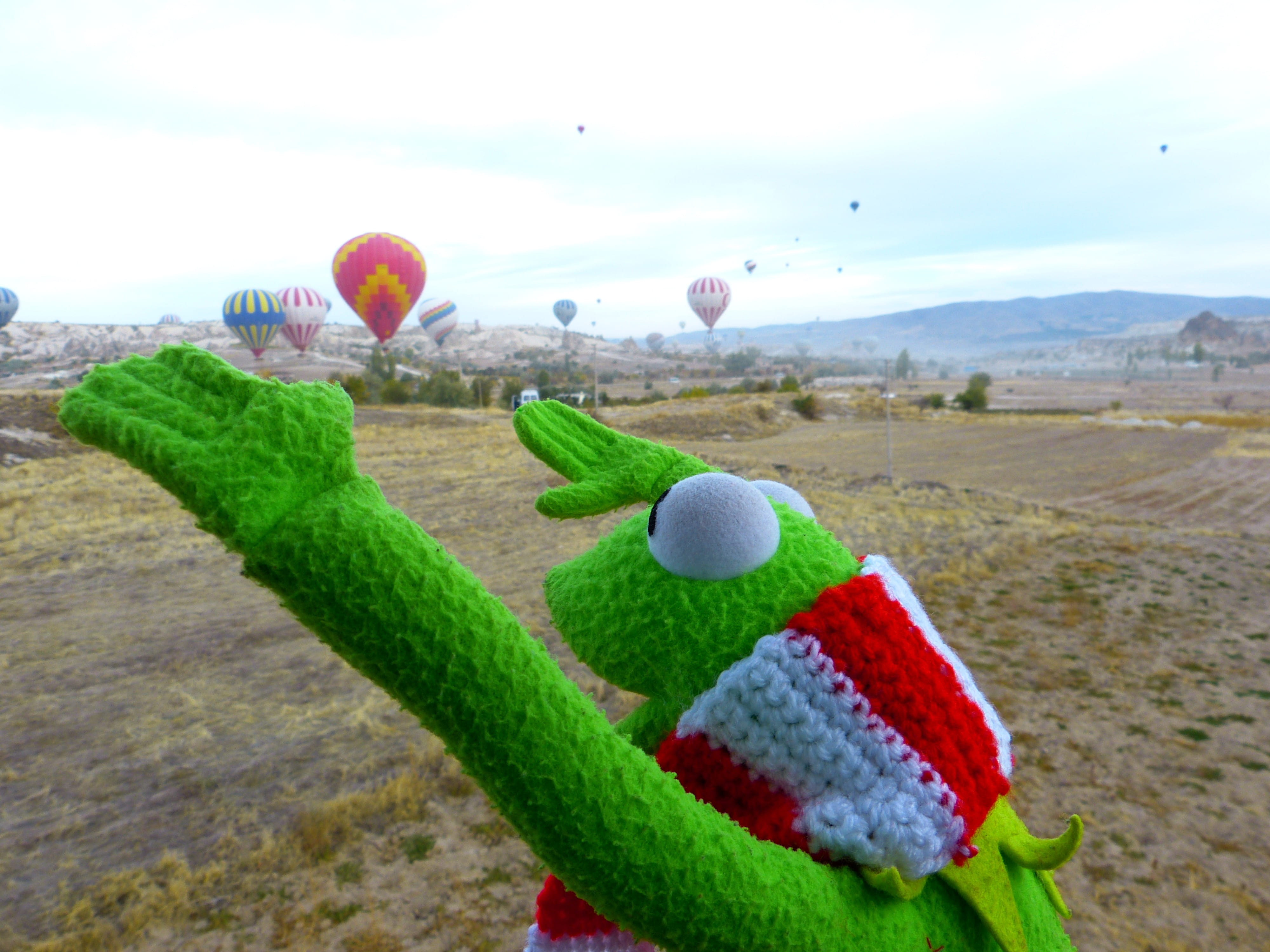 Enthusiasm, day, green color, land, nature, Frog, outdoors, scenics - nature, drive, Balloon, multi colored, hot air balloon, flying, colorful, 4K, no people, HD Wallpaper