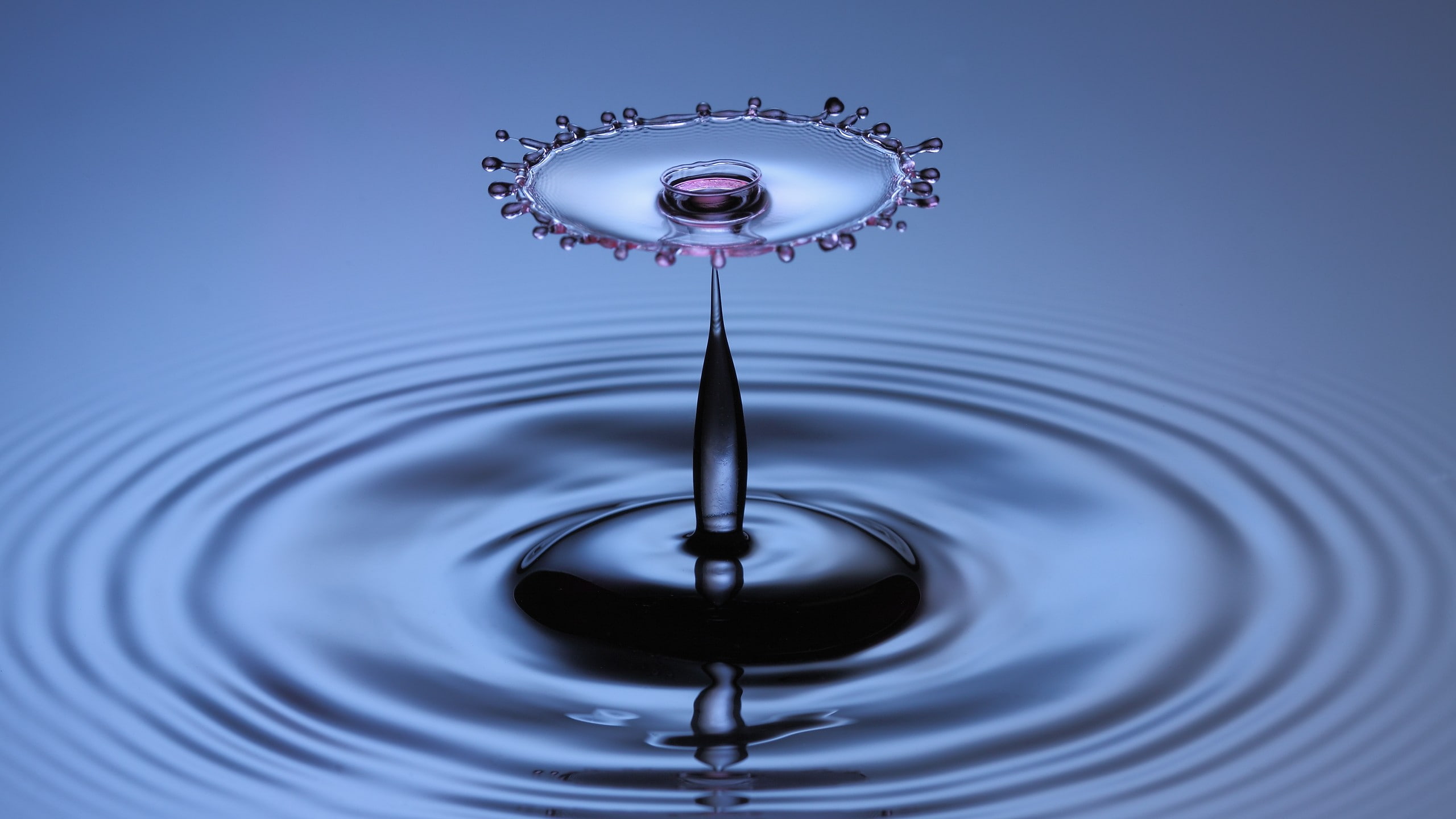 simple background, impact, no people, splashing, macro, concentric, minimalism, splashes, purity, nature, circle, blue, water drops, falling, shape, drop, HD Wallpaper
