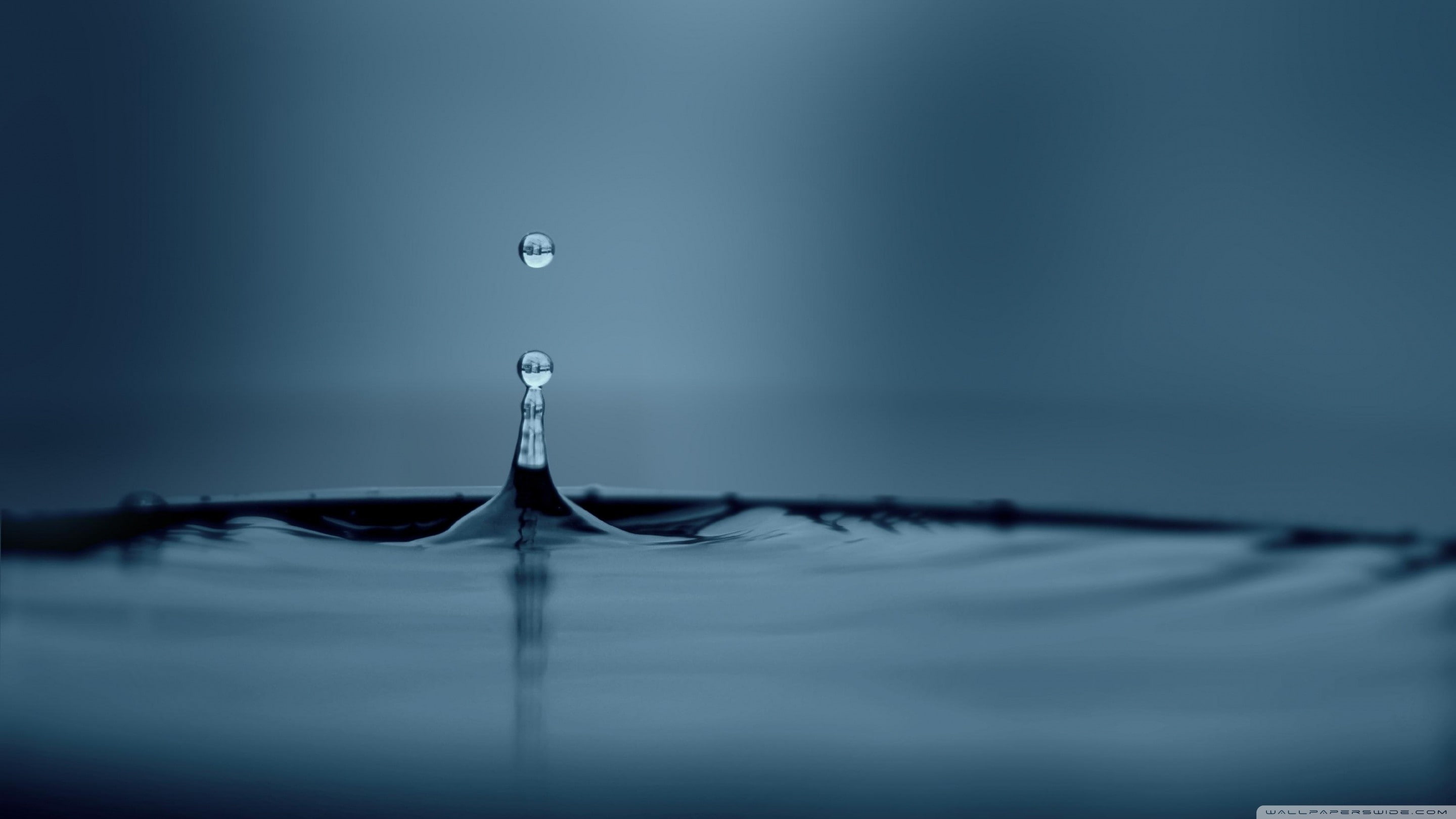 no people, reflection, falling, impact, splashing droplet, blue background, motion, selective focus, water drops, close-up, rippled, splashing, water surface, HD Wallpaper