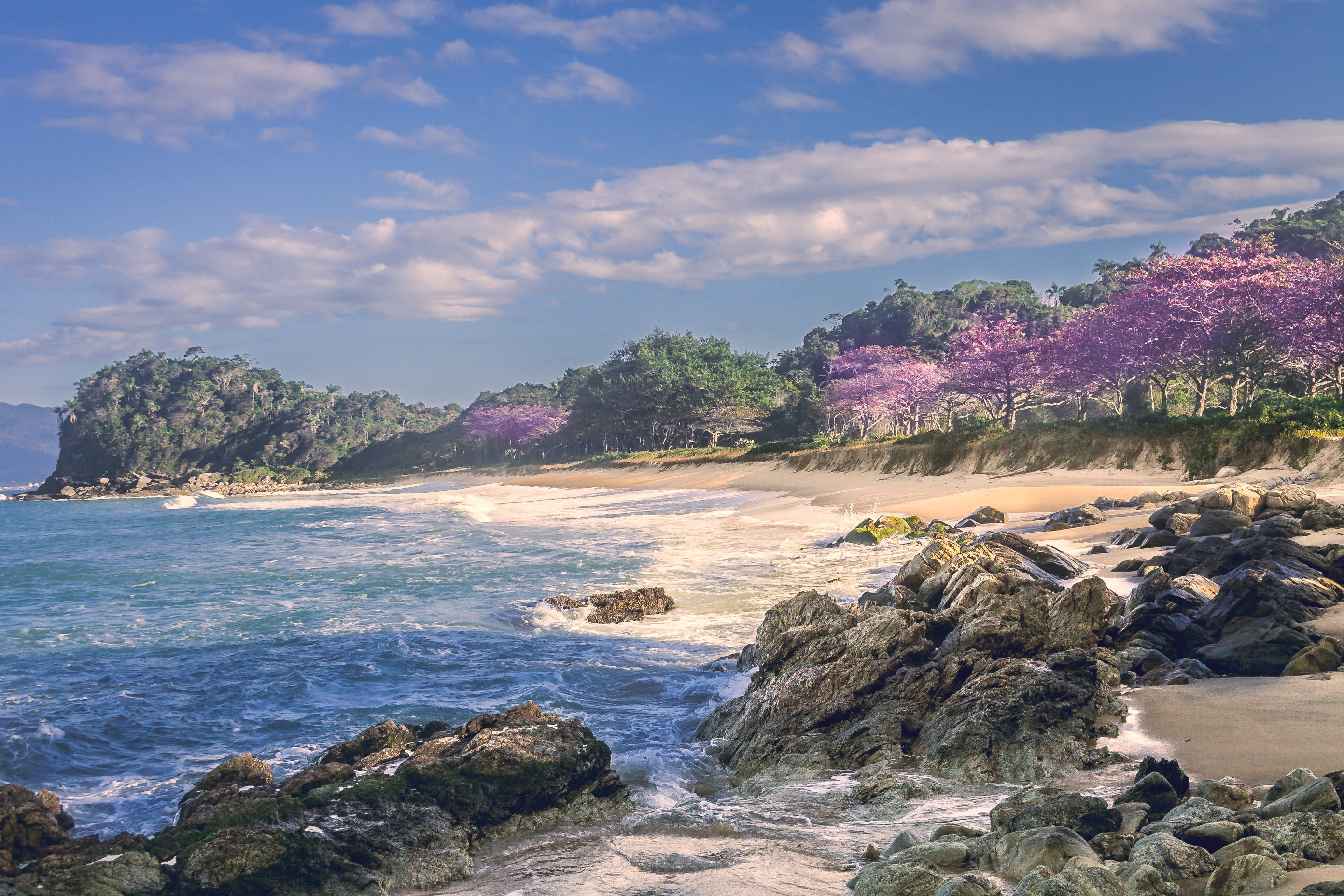 rock, cloud - sky, itapema, no people, beauty in nature, plant, tranquility, tree, rock - object, sky, 2K, sea, day, beach thick, santa catarina, scenics - nature, HD Wallpaper