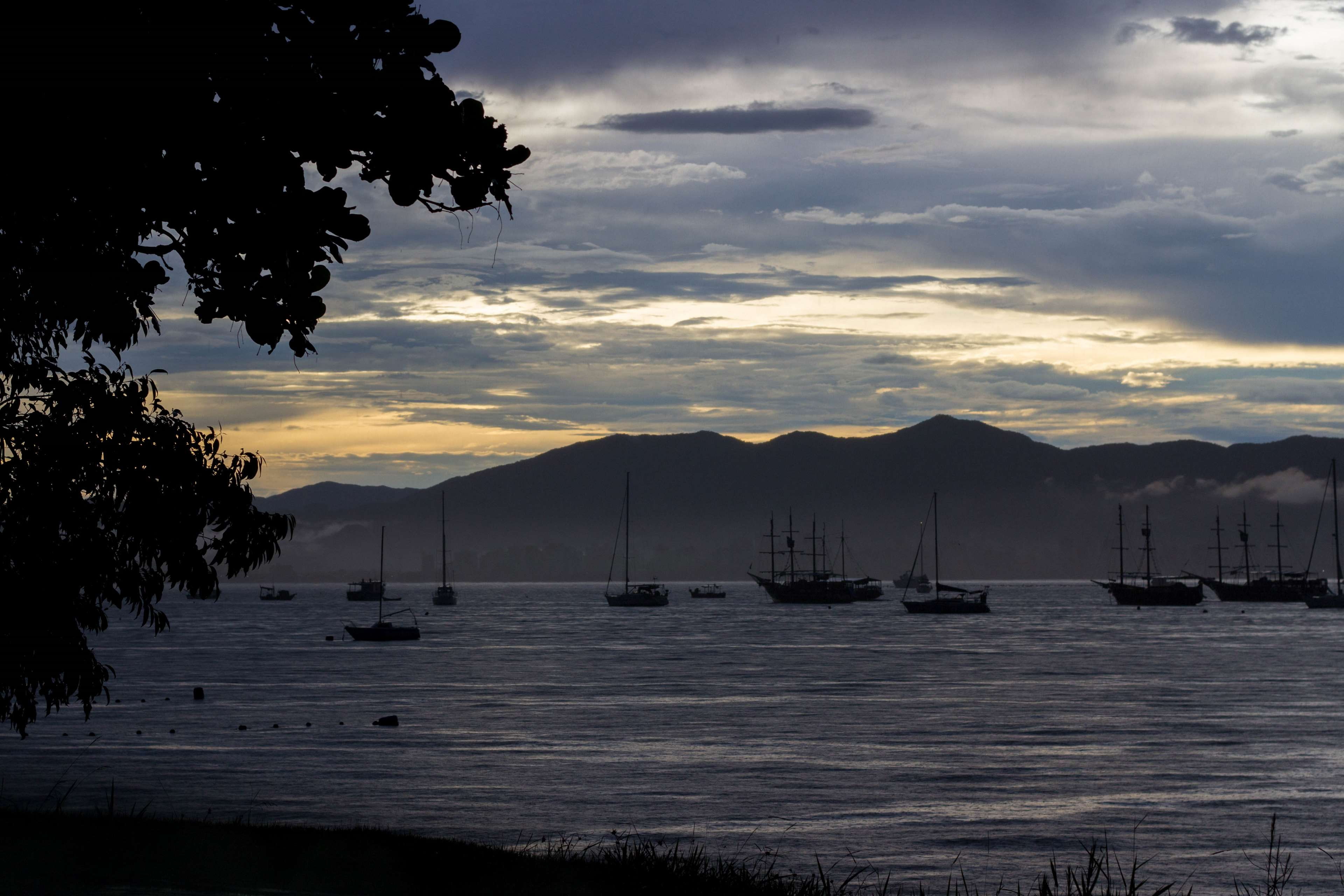 tree, sailboat, tranquil scene, marina, cloud - sky, santa catarina porto belo, nautical vessel, nature, no people, water, scenics - nature, silhouette, HD Wallpaper