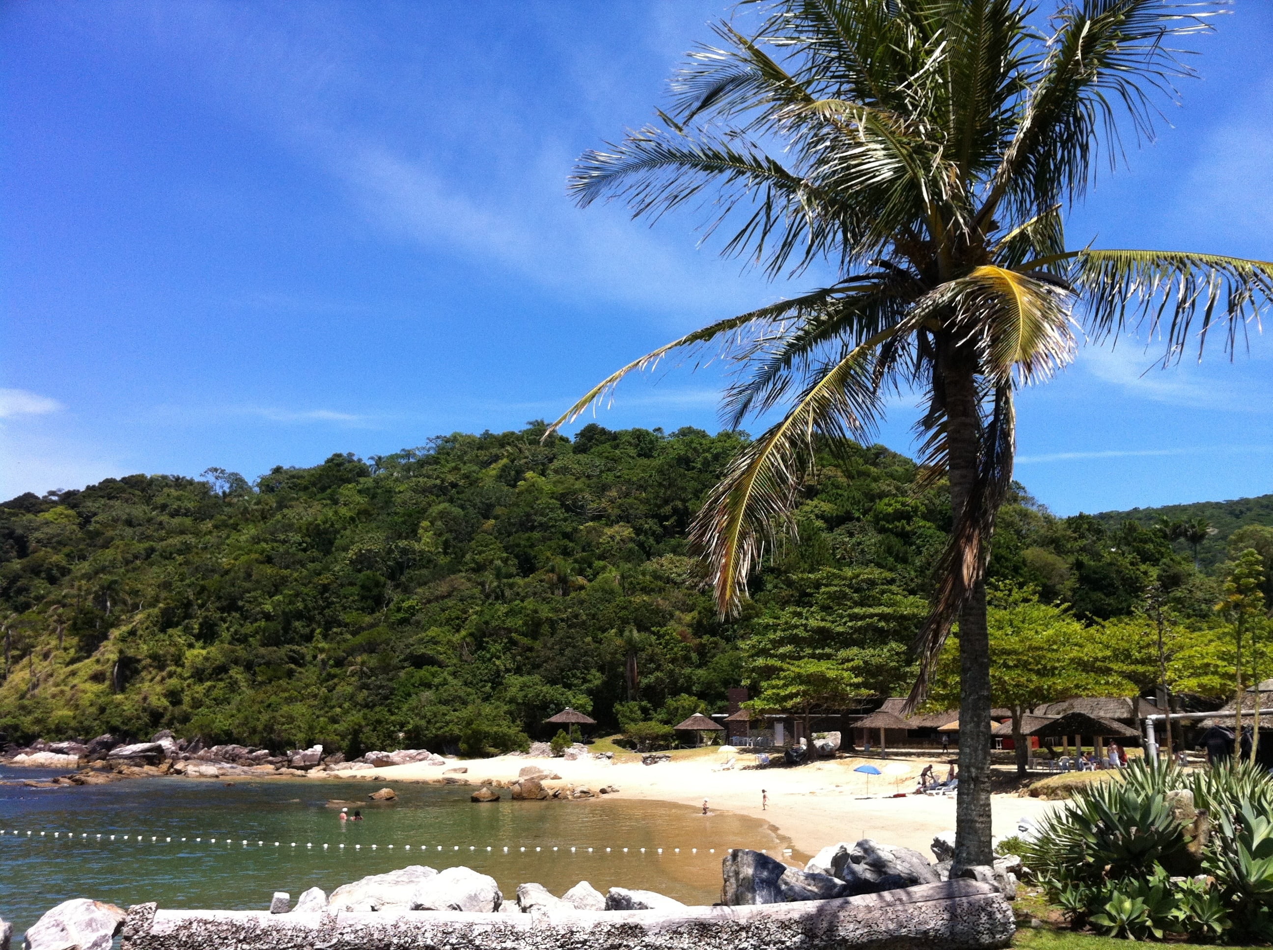 tranquil scene, rest, water, landscape, fishing, palm tree, plant, growth, sea, mar, outdoors, beauty in nature, brazil, sky, coconut palm tree, scenics - nature, HD Wallpaper