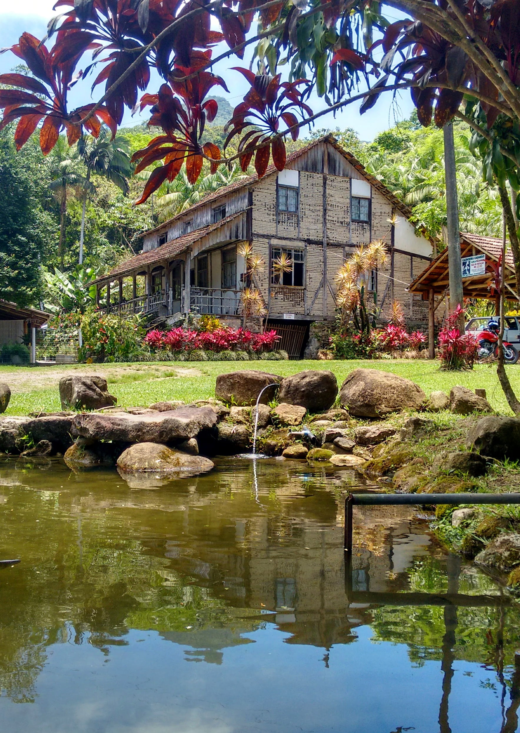 1080P, growth, water, nature, tree, architecture, waterfall, building exterior, house, waterfront, palm tree, built structure, day, outdoors, tranquility, Phone HD Wallpaper