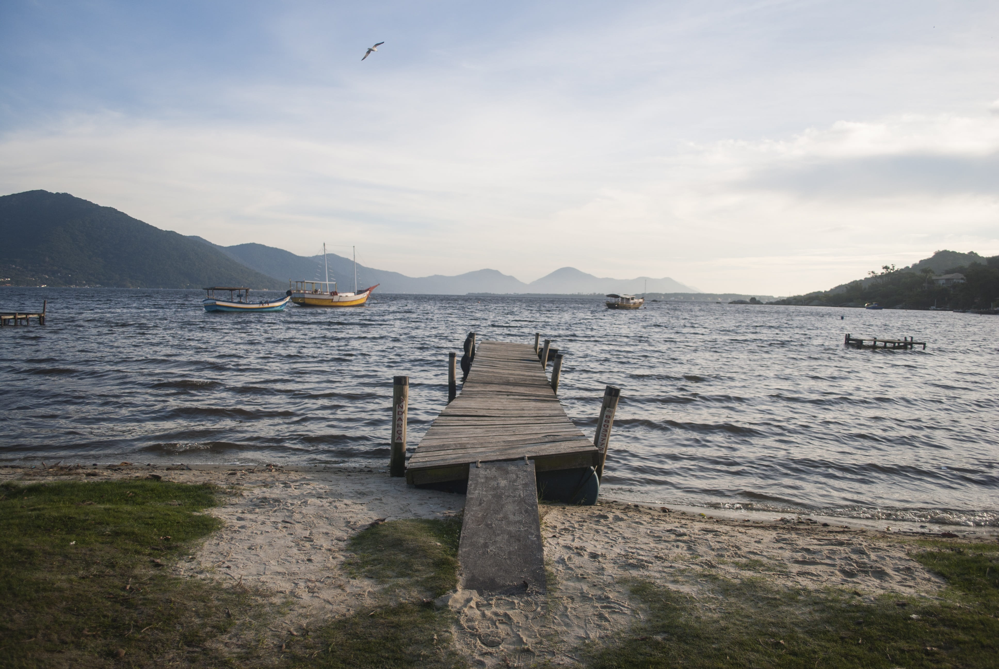 Sc, animal, eco, Brazil, nature, no people, animal themes, brasil, santa catarina, wood - material, Sea, day, color image, panoramic, santa, water, wave, HD Wallpaper