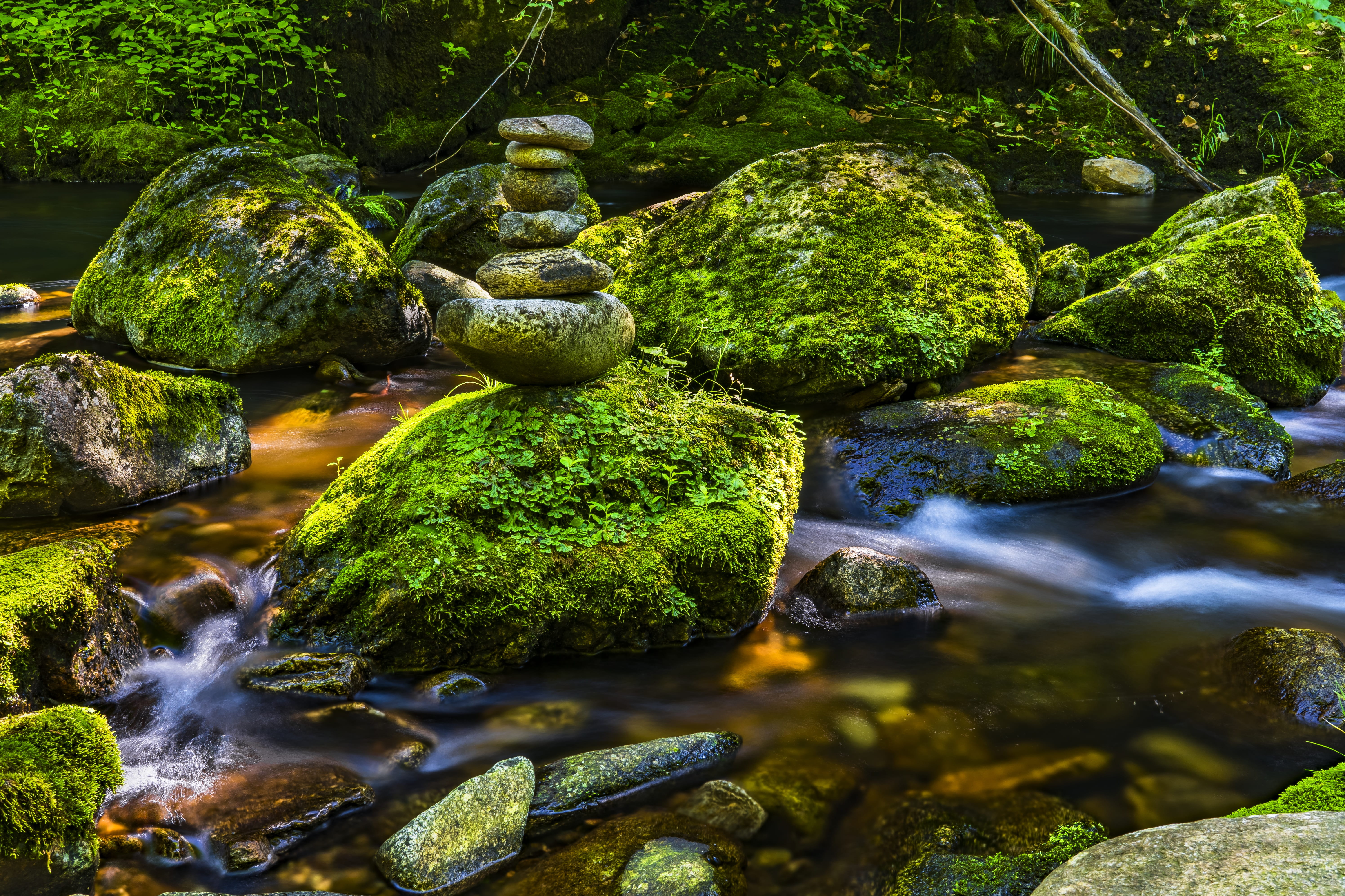 background image, growth, water games, moss, plant, tree, forest, river, rock, outdoors, waterfall, background, pebble, atmosphere, landscape, romantic, HD Wallpaper