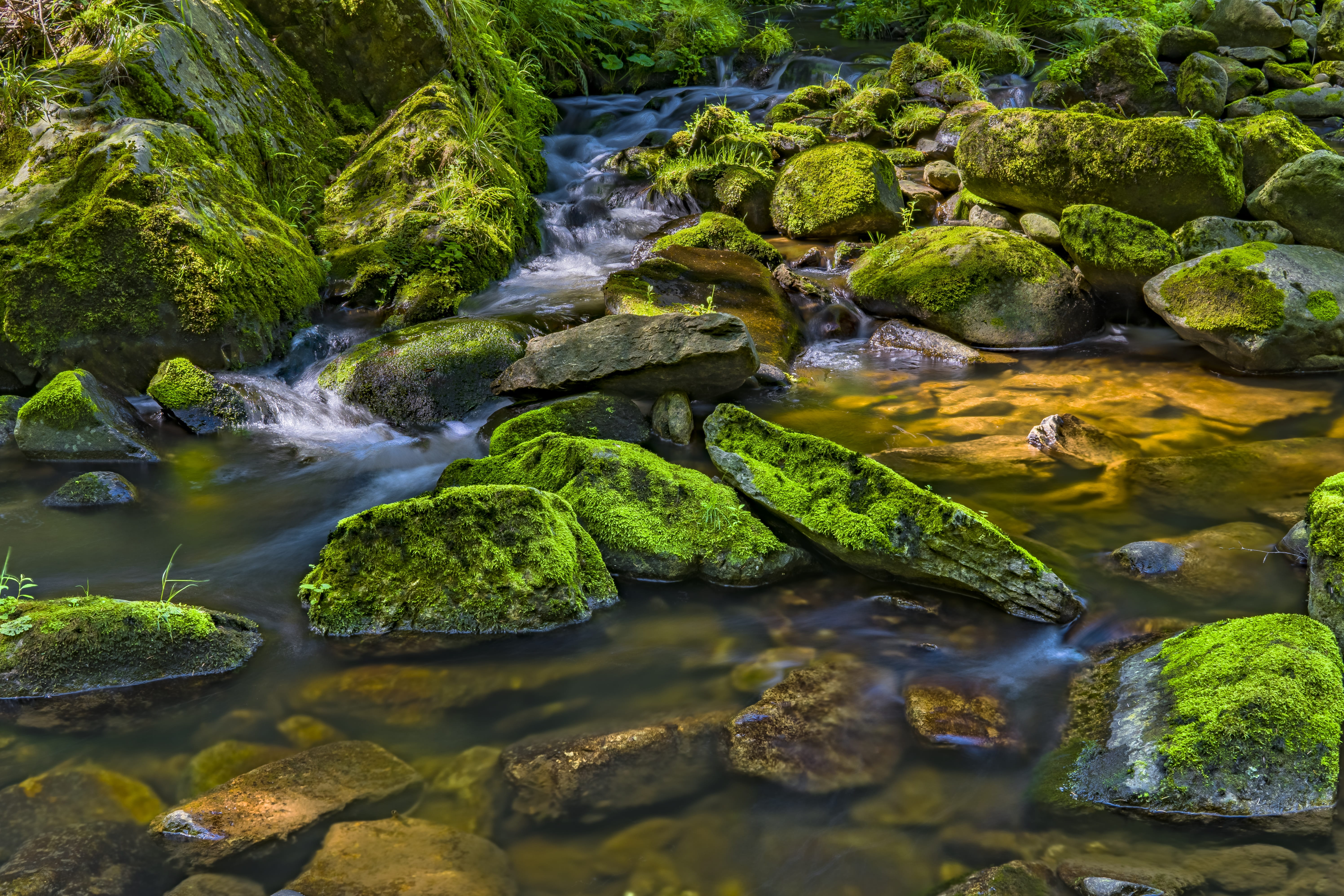 atmosphere, river, rainforest, beauty in nature, rock - object, green color, solid, nature, flowing water, no people, outdoors, long exposure, motion, 5K, HD Wallpaper