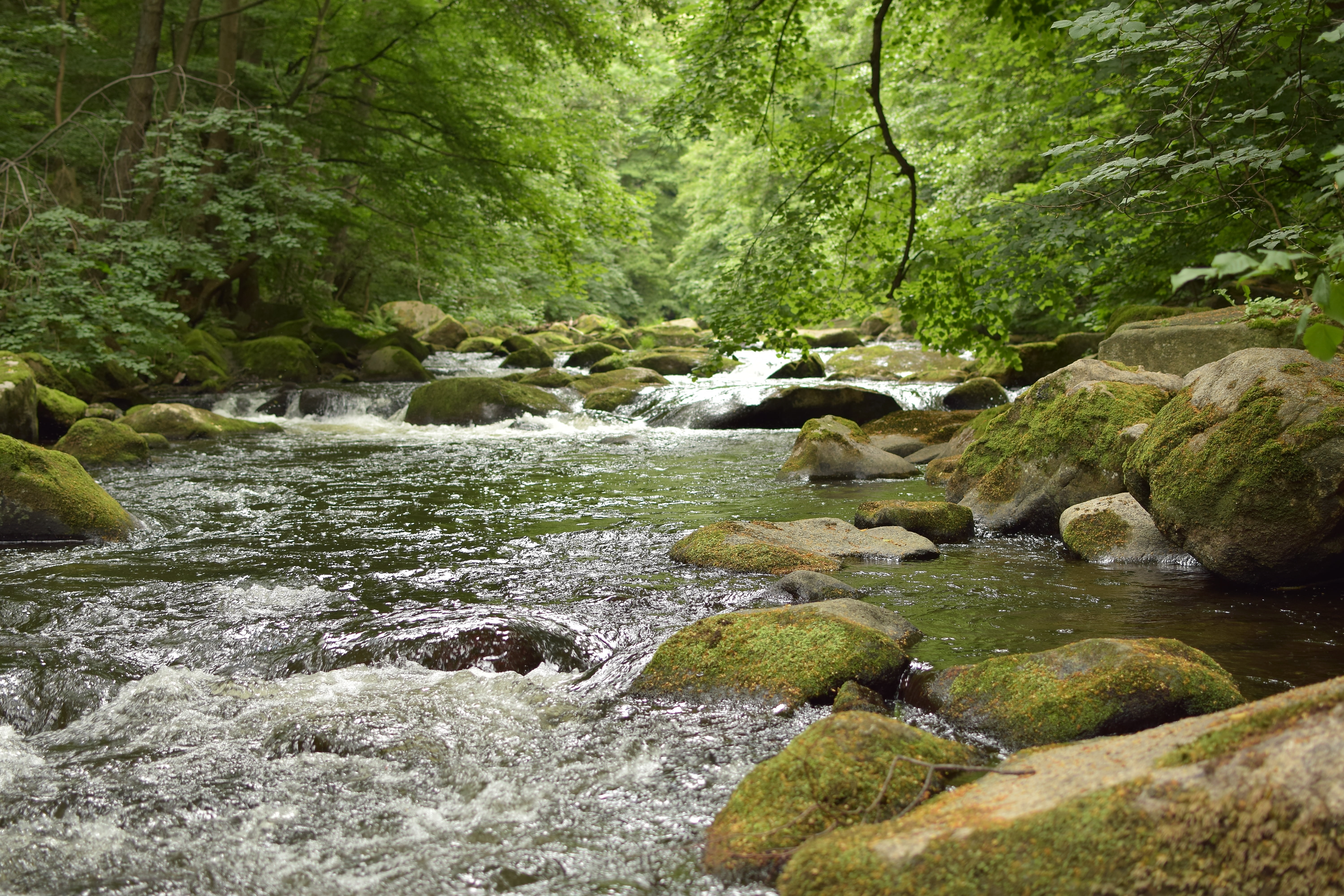 5K, freshness, rocks, rock - Object, motion, water, scenics, solid, stream - flowing water, day, rushing, rock, flowing, nature, tree, outdoors, green, HD Wallpaper