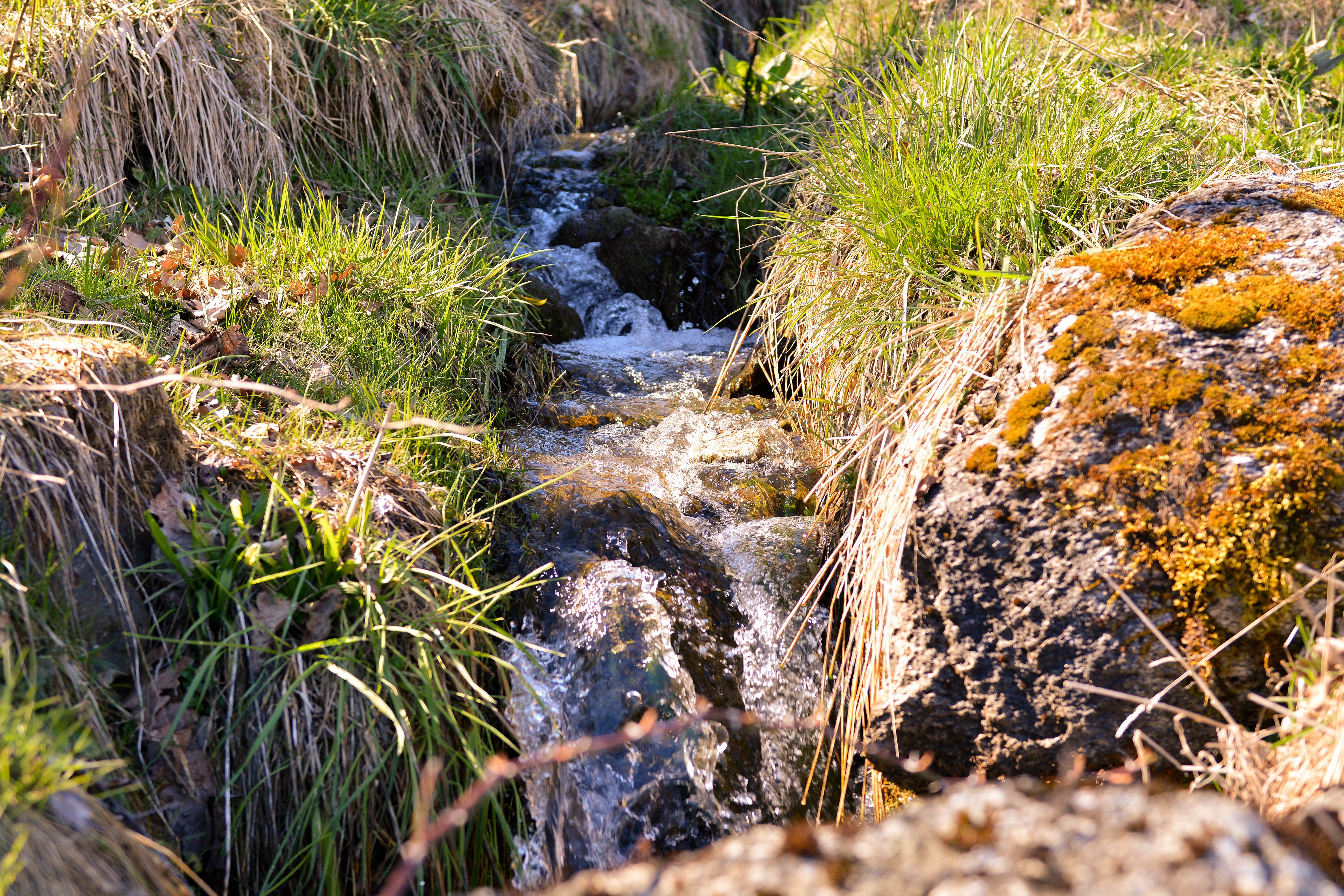 rock, beauty in nature, stream - flowing water, solid, sunlight, motion, growth, nature, plant, bach, downloading, waters, grass, water, land, no people, HD Wallpaper