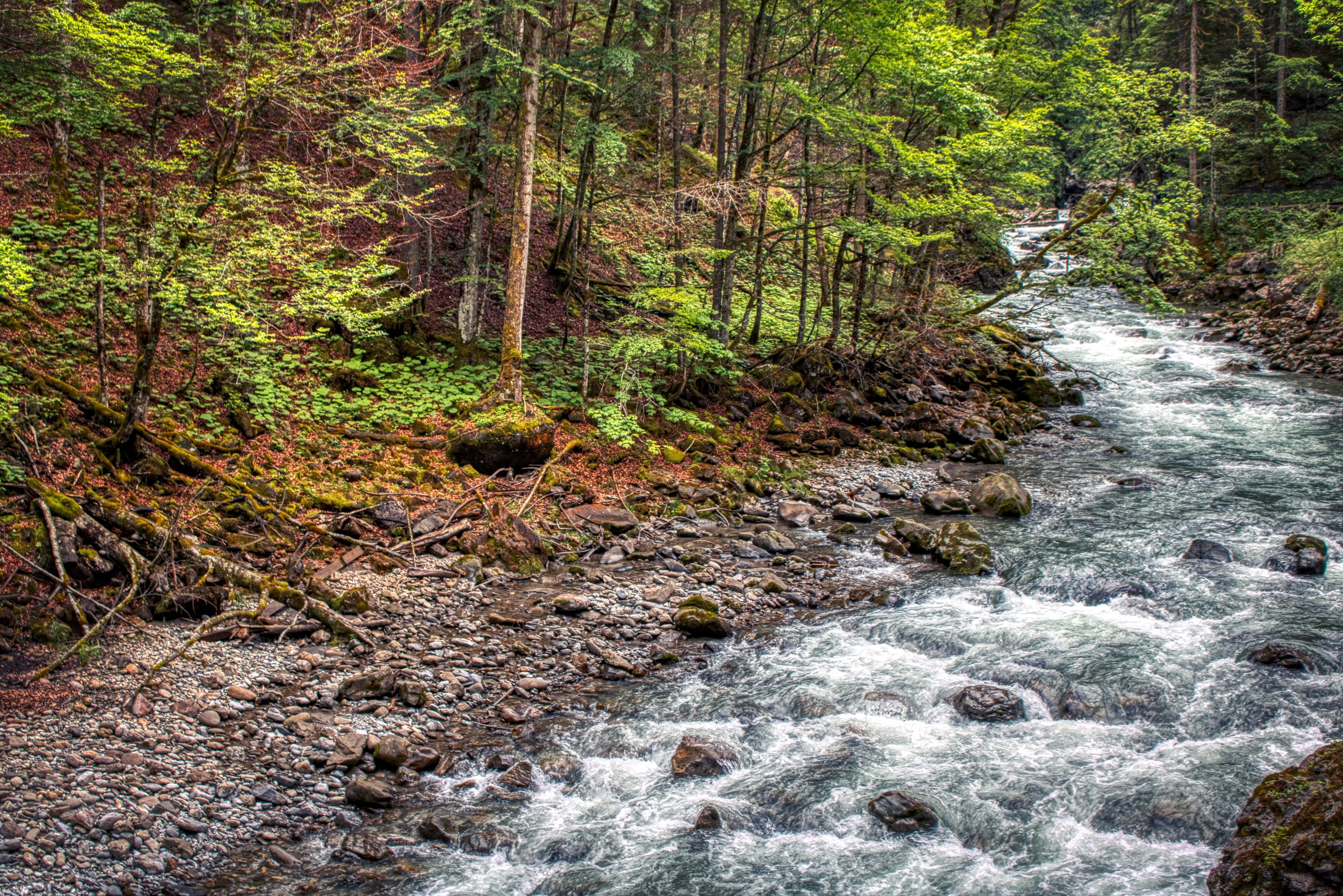 flowing water, oberstdorf, bach, wood, bavaria, river, stones, fluent, beauty in nature, water, amazing, gorge, 5K, motion, no people, wild, flowing, landscape, HD Wallpaper