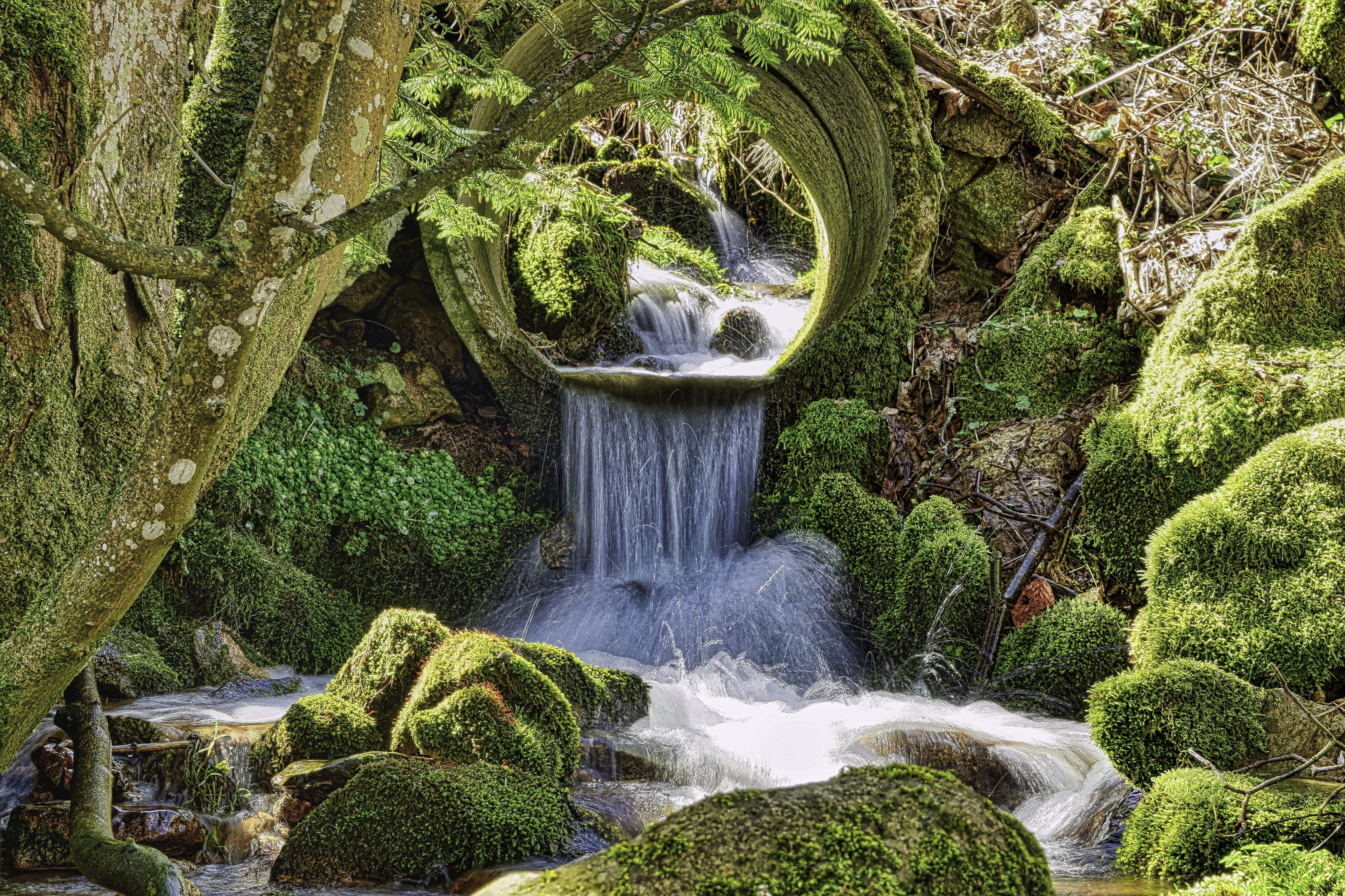 creek, leaf, 5K, natural water, day, green color, rock - object, tree, nature, running water, outdoors, landscape, waters, water, no people, long exposure, HD Wallpaper